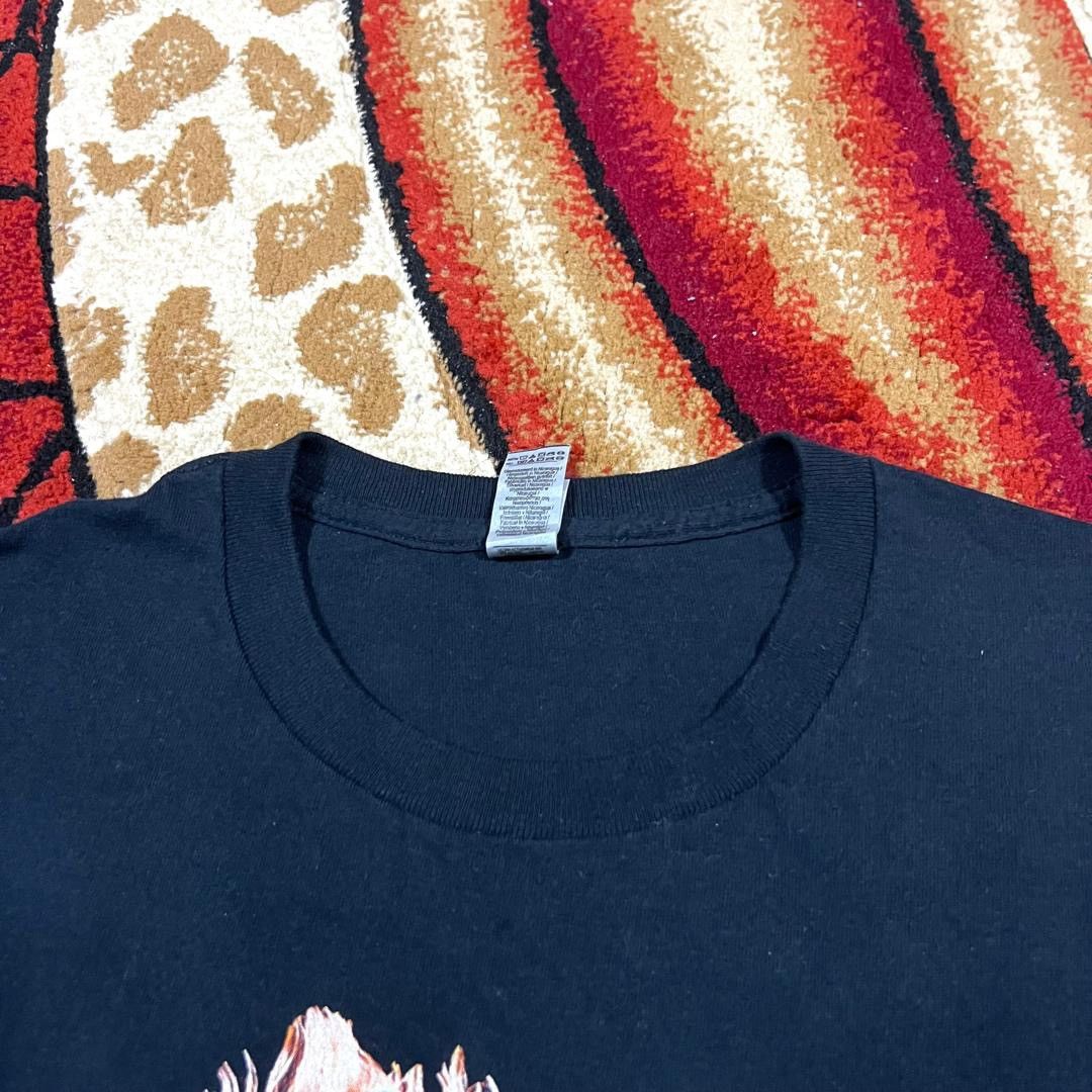 Band Tees Vintage Thrashed Faded The Foxies Alternative Band T Shirt Size US XL / EU 56 / 4 - 4 Thumbnail