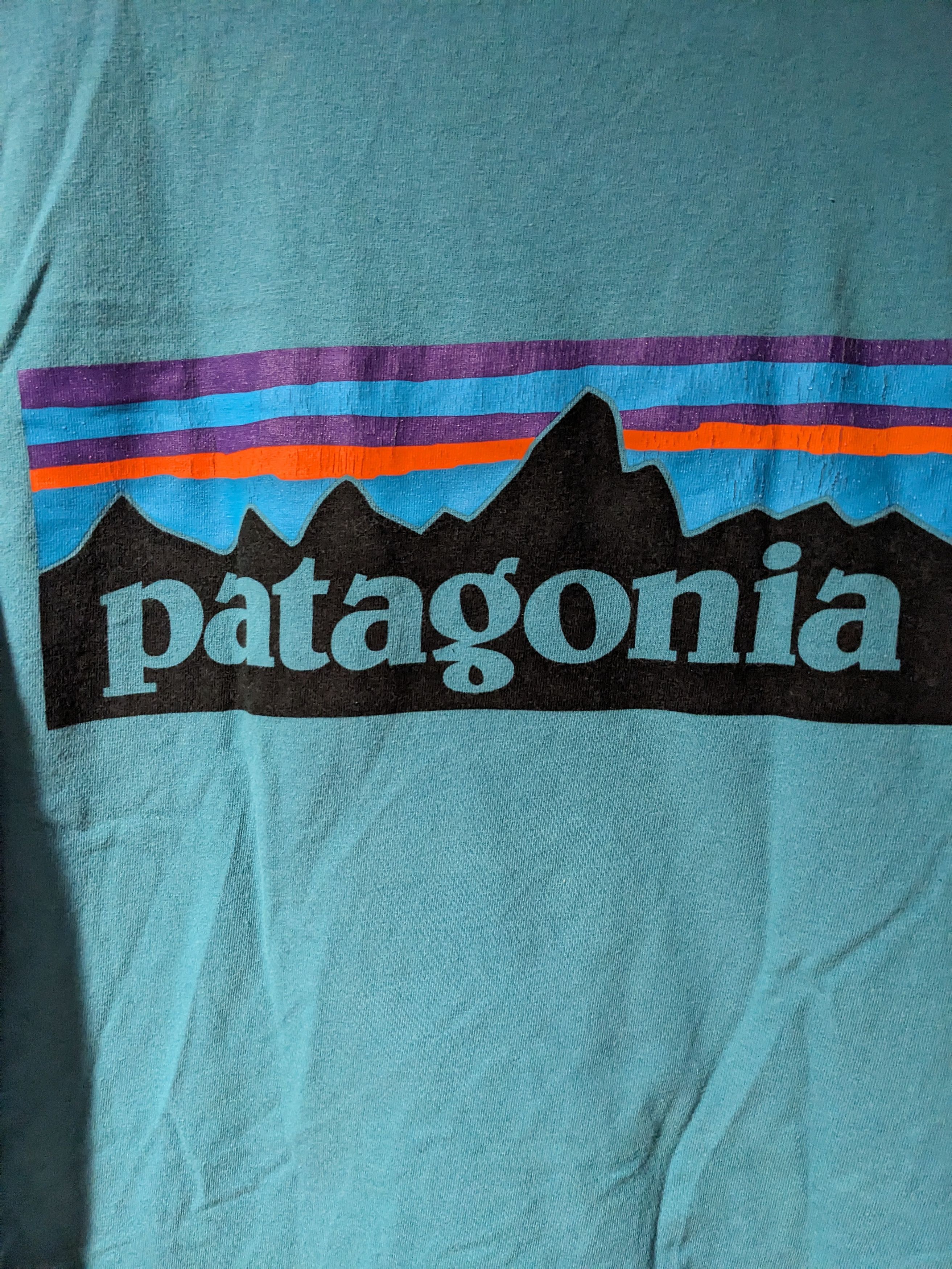 Designer × Patagonia Patagonia Regular Fit Logo Blue Medium T-Shirt Size US M / EU 48-50 / 2 - 2 Thumbnail