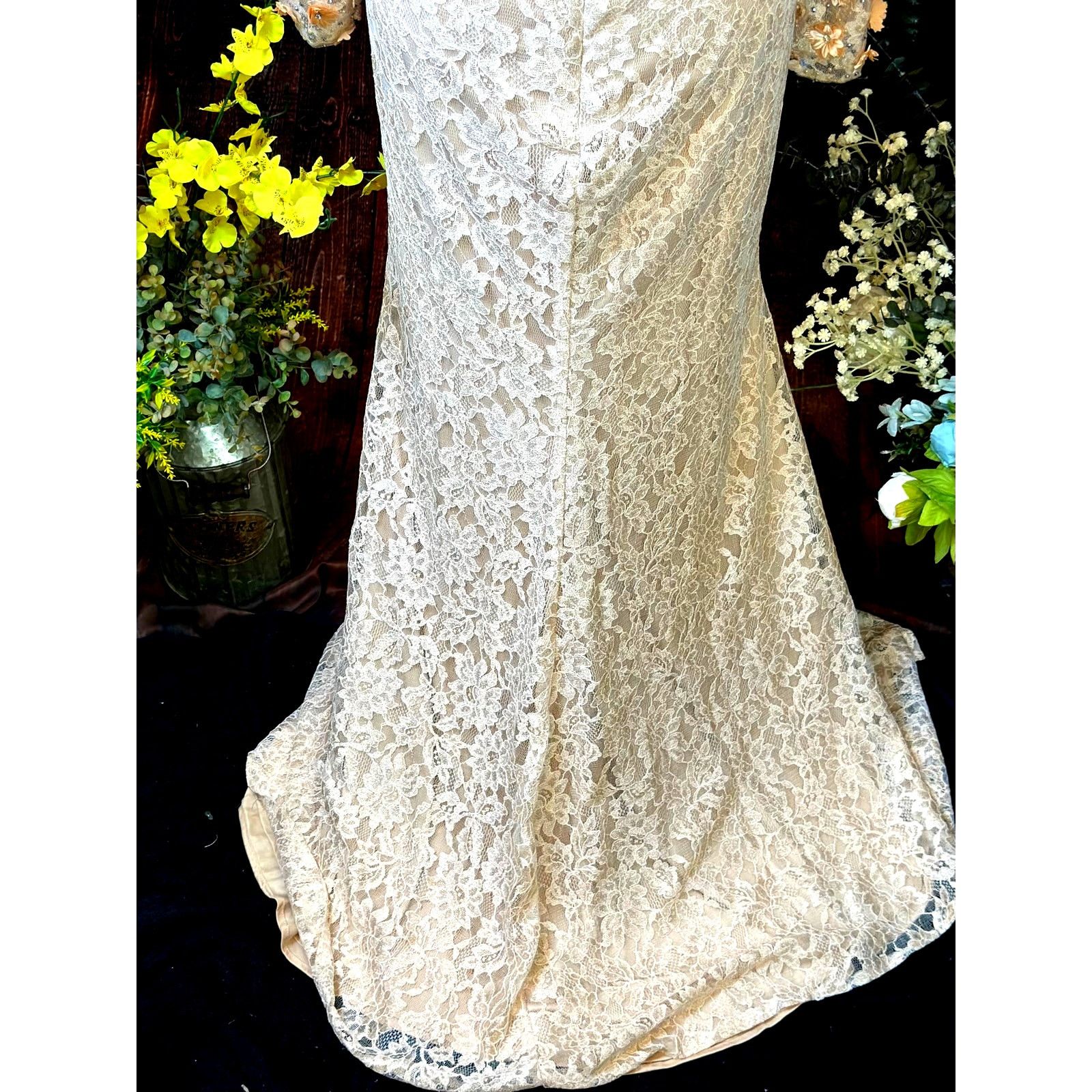 Other Mac Duggal Lace V Neck Embellished Gown Blush size 12 Size XL / US 12-14 / IT 48-50 - 15 Thumbnail