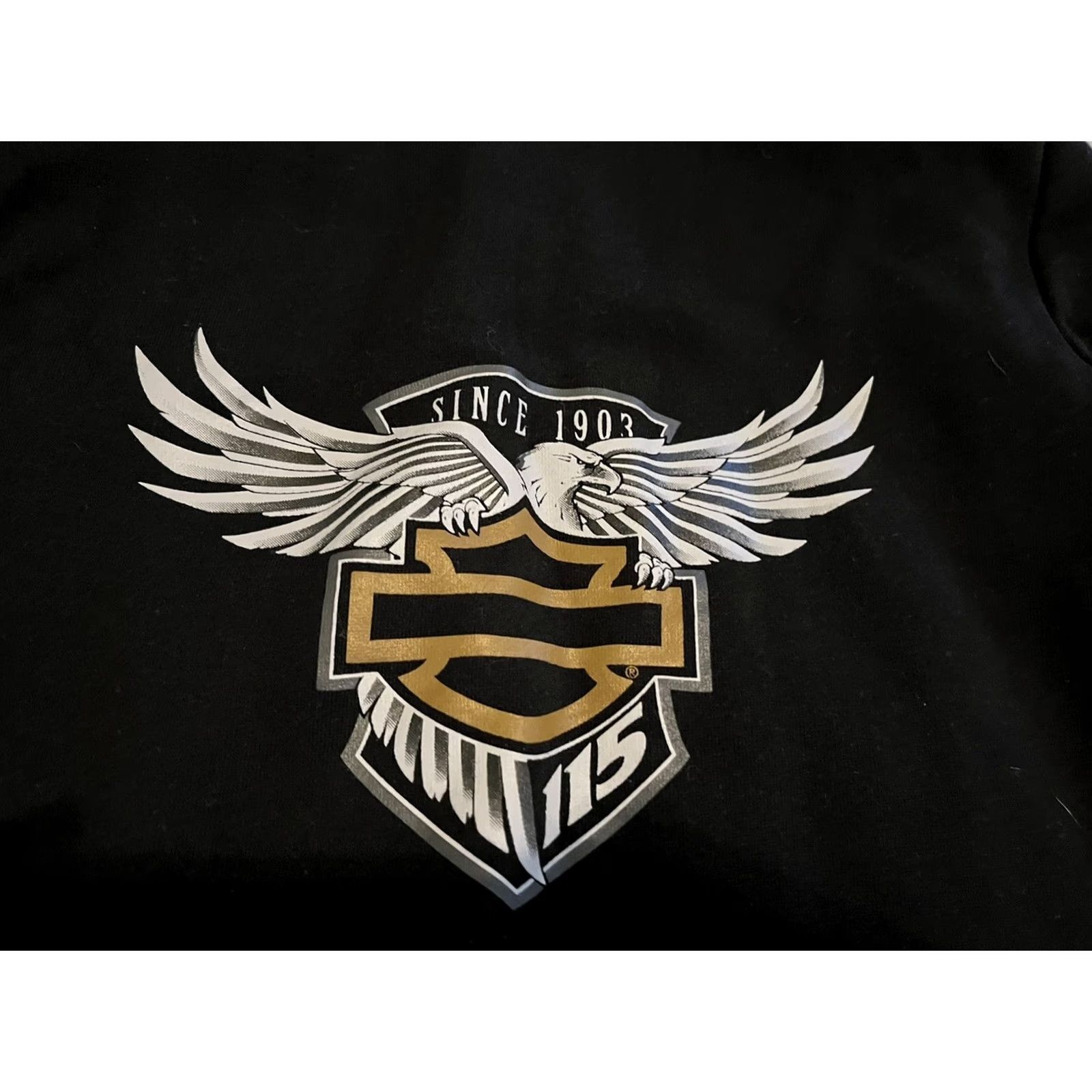 Harley Davidson Harley-Davidson Black Full Zip Hoodie Sweater 115 Years Eagle Size Small Womens Hoodie Zip Black 115 Years Harley-Davidson Shirt? Size S / US 4 / IT 40 - 6 Thumbnail