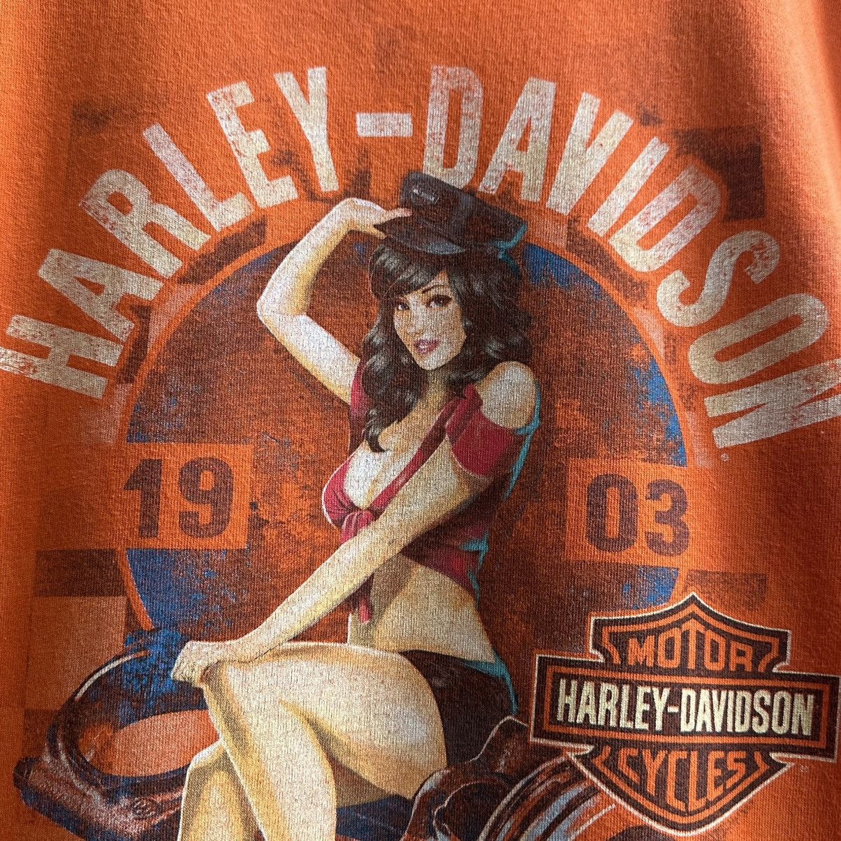 Harley Davidson VINTAGE Y2K HARLEY DAVIDSON SAN JACINTO GRAPHIC TEE Size US L / EU 52-54 / 3 - 9 Thumbnail