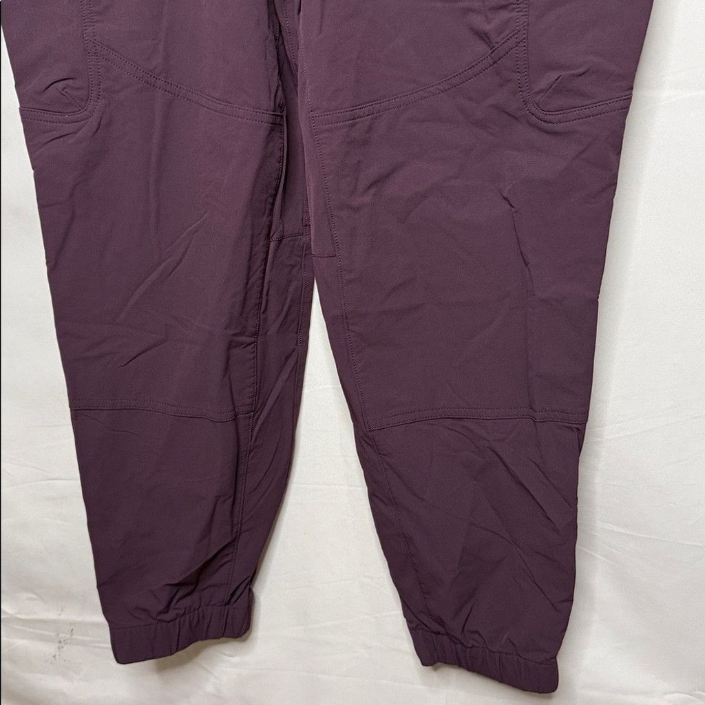 Duluth Trading Company NWT Duluth trading company purple flexpedition joggers sz 16 Size 38" / US 16 / IT 52 - 6 Thumbnail