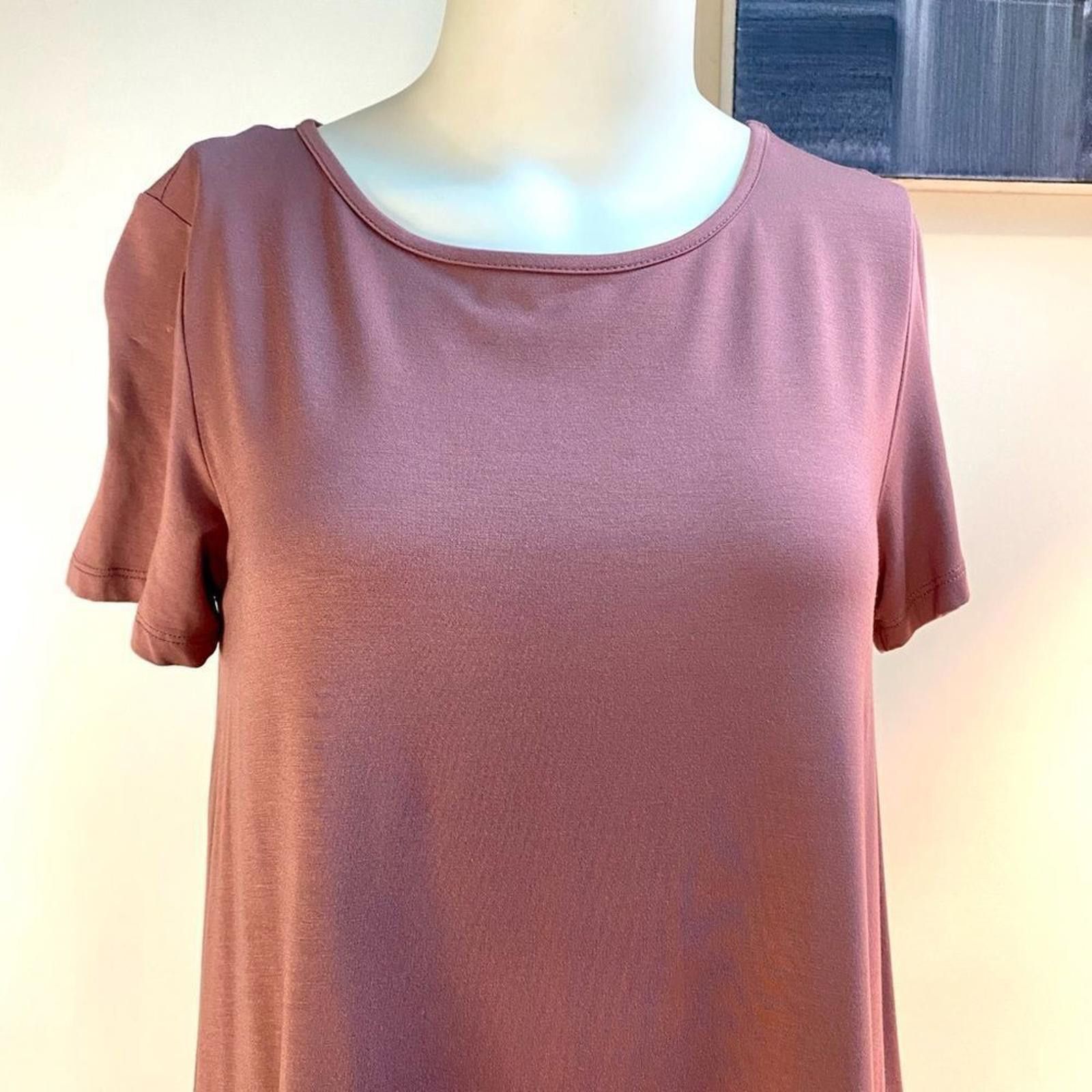 Forever 21 FOREVER 21 T-Shirt Dress Dusty Rose Size S NWT Modal Cozy Size S / US 4 / IT 40 - 4 Thumbnail