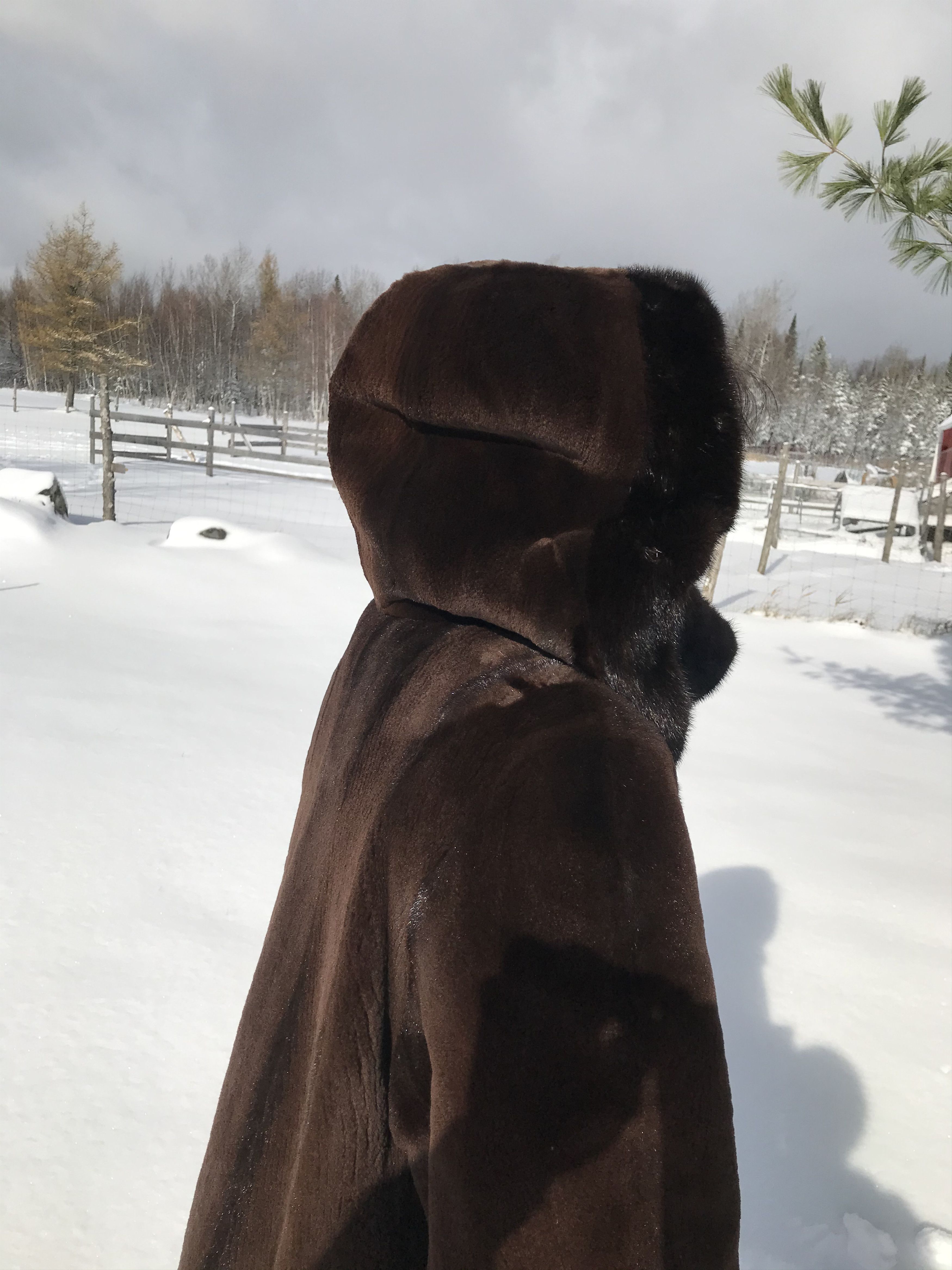 Other MINK FUR COAT WITH HEAD COVER Size L / US 10 / IT 46 - 4 Thumbnail