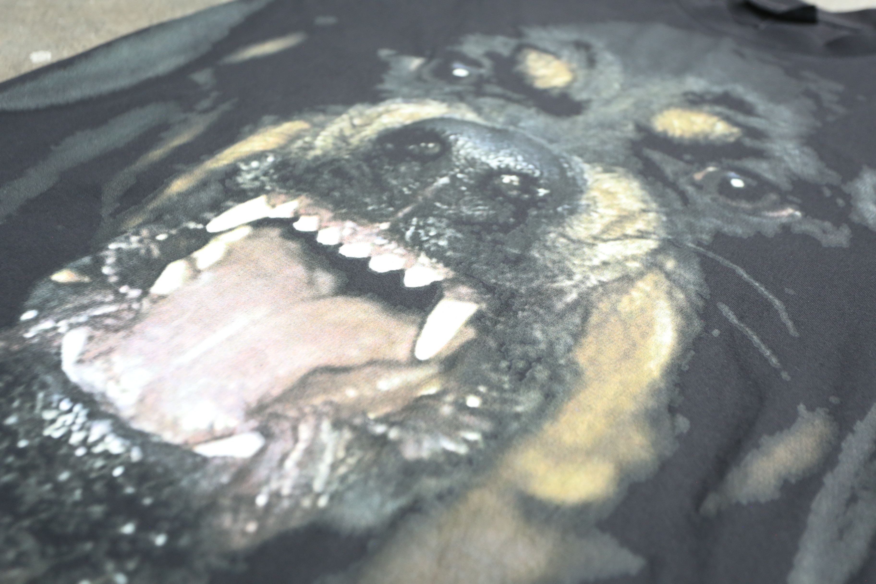Givenchy Givenchy - Riccardo Tisci - F/W 14 - Rottweiler Tee Size US L / EU 52-54 / 3 - 4 Thumbnail