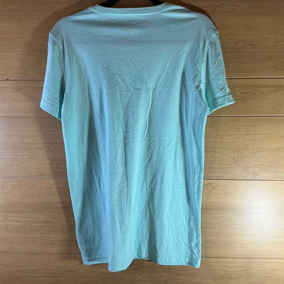 American Eagle Outfitters American Eagle Outfitters Men’s Small Mint NWT Tee Size US S / EU 44-46 / 1 - 3 Thumbnail
