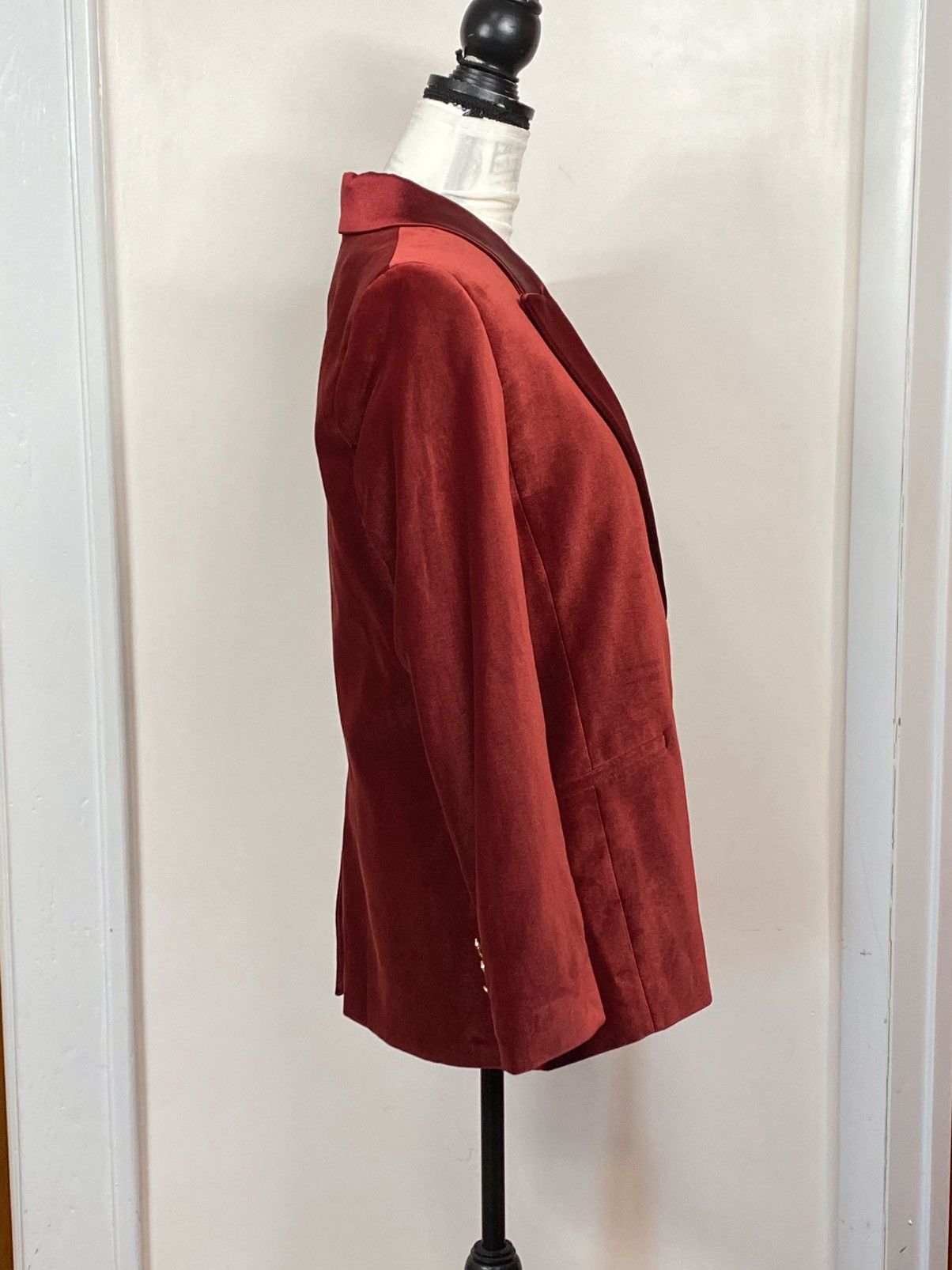 Alice + Olivia ALICE + OLIVIA Velvet Single-Breasted Blazer size 12 Size XL / US 12-14 / IT 48-50 - 8 Thumbnail