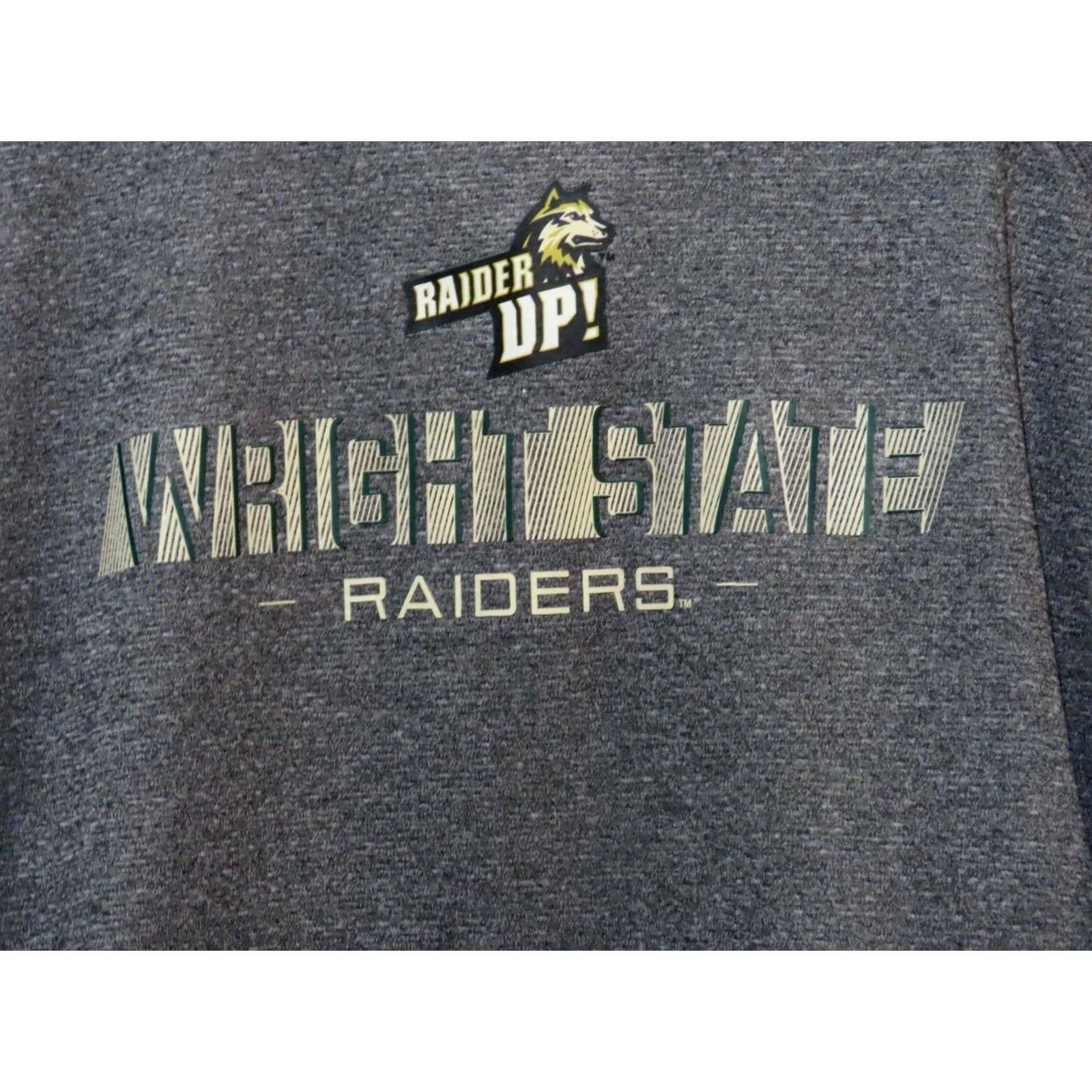 Champion Champion Hoodie Mens S Wright State Raiders Gray Pullover Hooded Sweatshirt Regular Fit College Winter Size US S / EU 44-46 / 1 - 3 Thumbnail