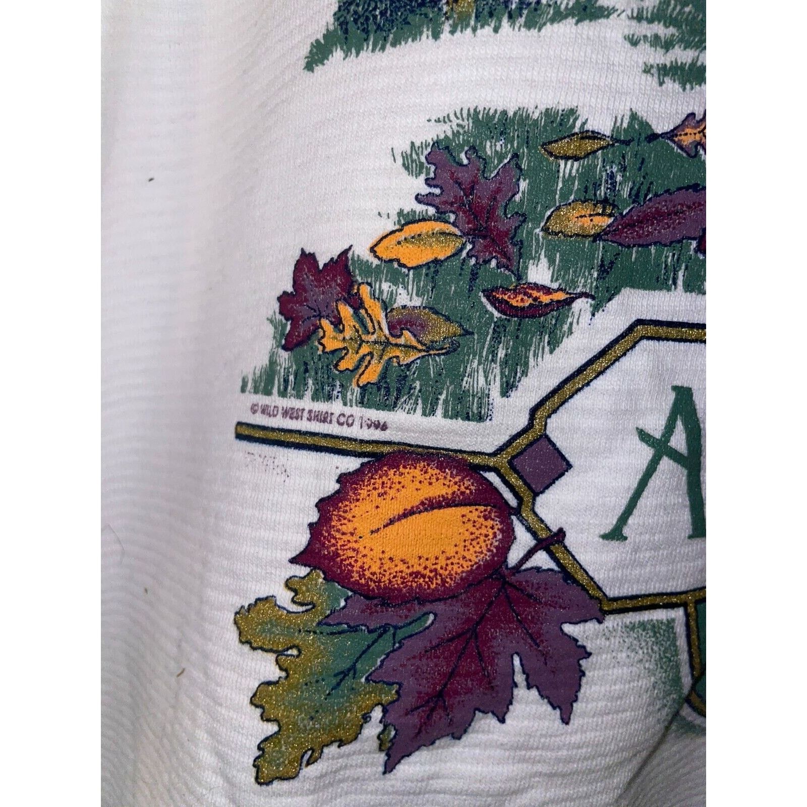 Jerzees Vintage Arizona Sweatshirt Mormon Lake Wilderness VTG 90s L Size US L / EU 52-54 / 3 - 6 Thumbnail