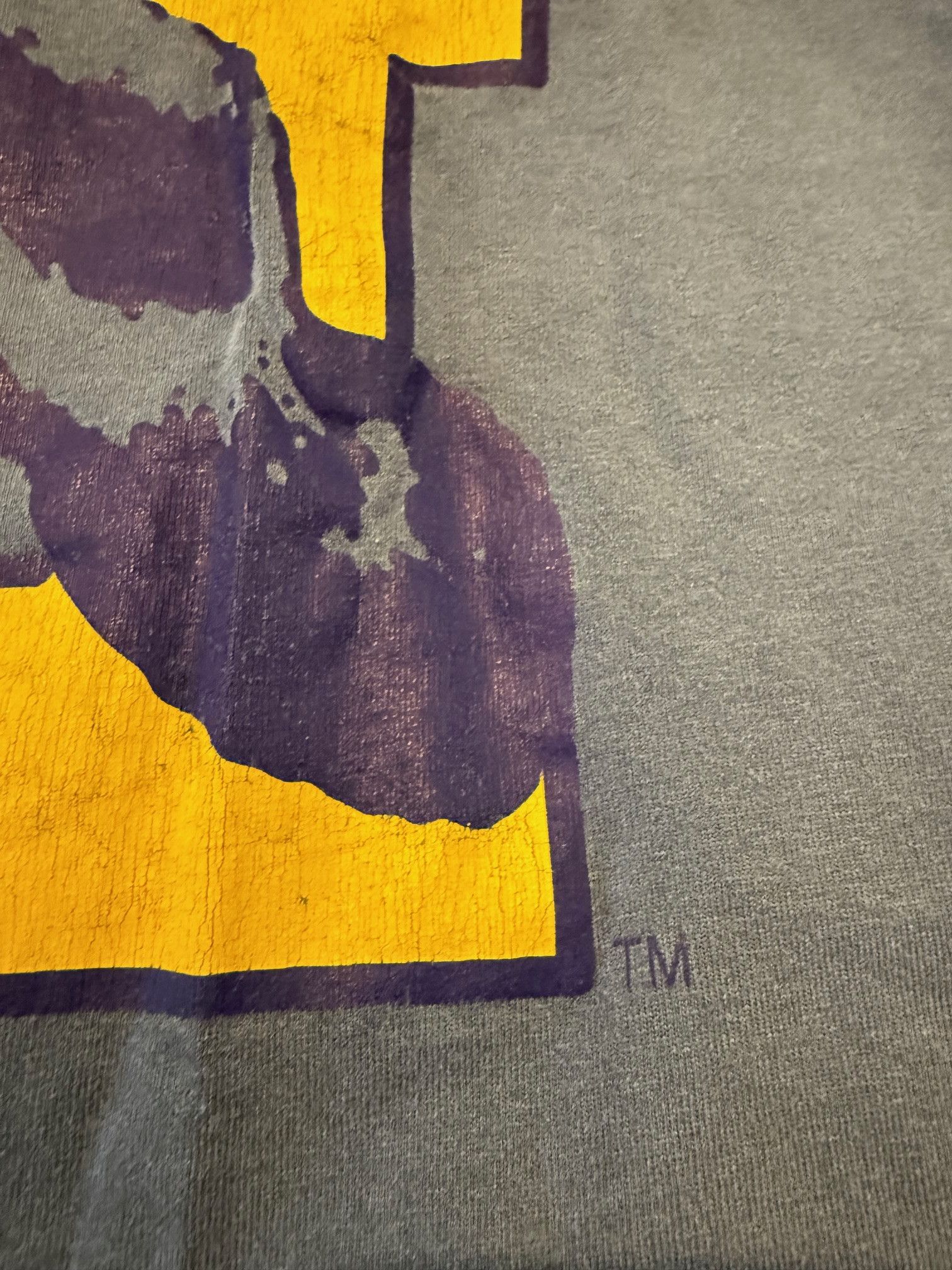 Eric Emanuel Eric Emanuel x Michigan Tank Top – Size Small – NWT Size US S / EU 44-46 / 1 - 5 Thumbnail