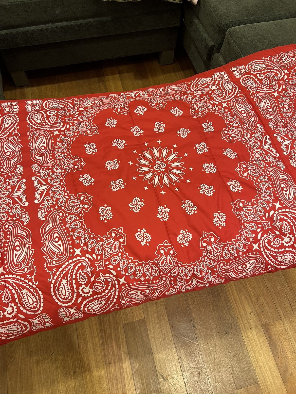 Supreme × The North Face Supreme The North Face Red Bandana Sleeping Bag Paisley Size ONE SIZE - 16 Thumbnail