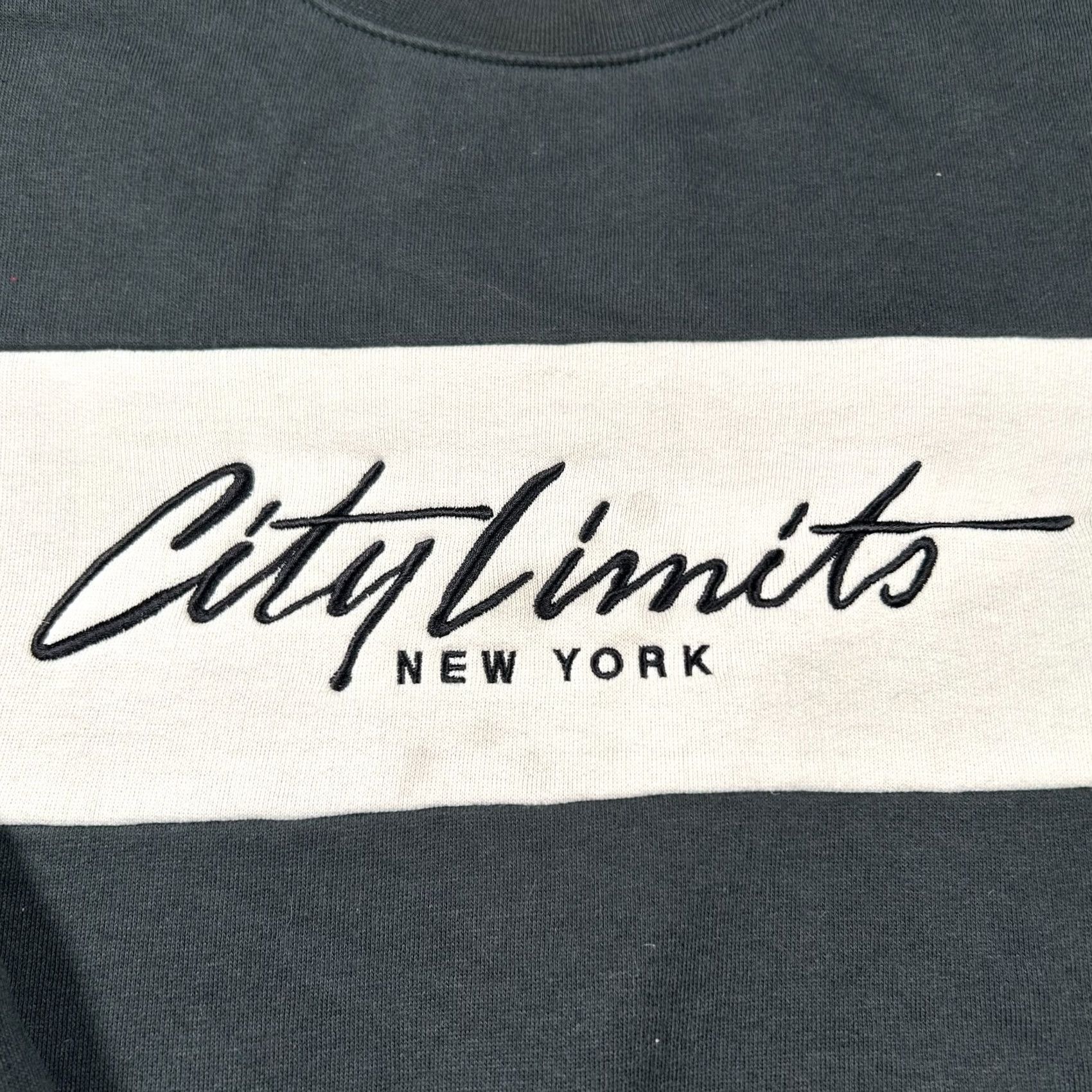 H&M H&M City Limits New York Sweatshirt Men XL Green White Logo Graphic Print Pullover Vintage? Size US XL / EU 56 / 4 - 5 Thumbnail