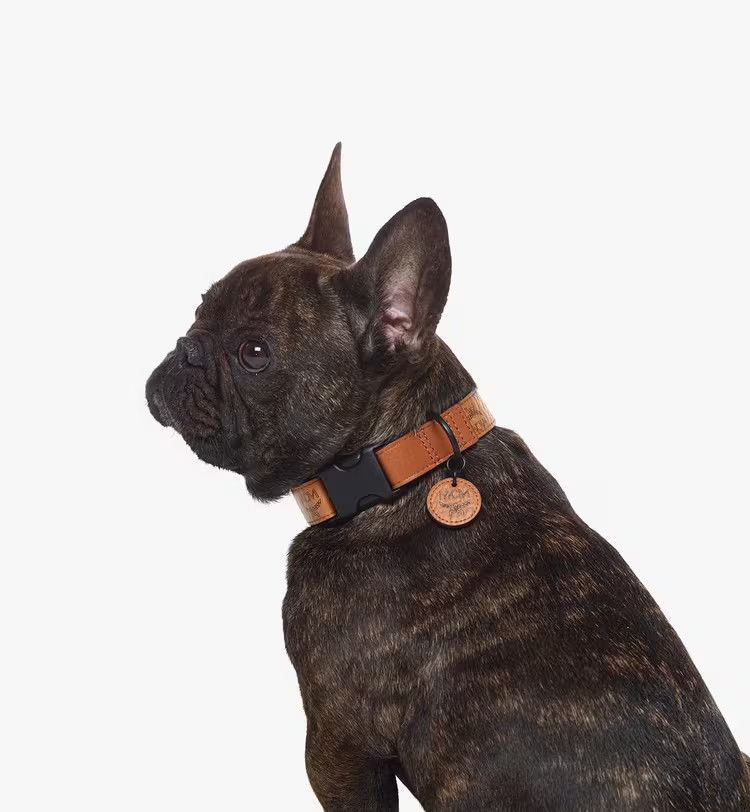 MCM o1mt1gz1125 Size: OS / Dog Lash in Brown Size ONE SIZE - 2 Thumbnail