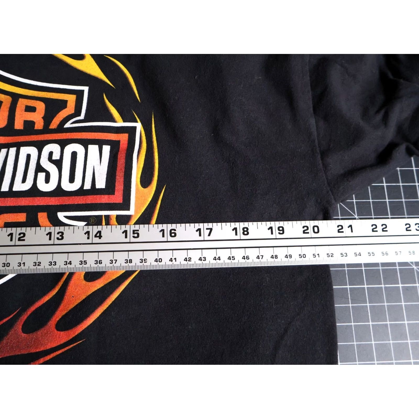 Harley Davidson Harley-Davidson T-Shirt Men's Large Black Denali Alaska Mt. McKinley Flames Y2K Size US L / EU 52-54 / 3 - 6 Thumbnail