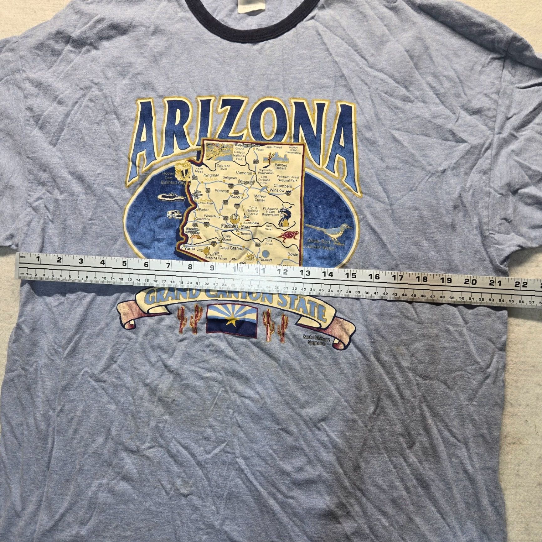 Delta Delta Pro Weight Shirt Adult XL Blue Arizona Grand Canyon State T-Shirt Mens 1980s Nature USA USA Arizona Blue Shirt XL Size US XL / EU 56 / 4 - 4 Thumbnail