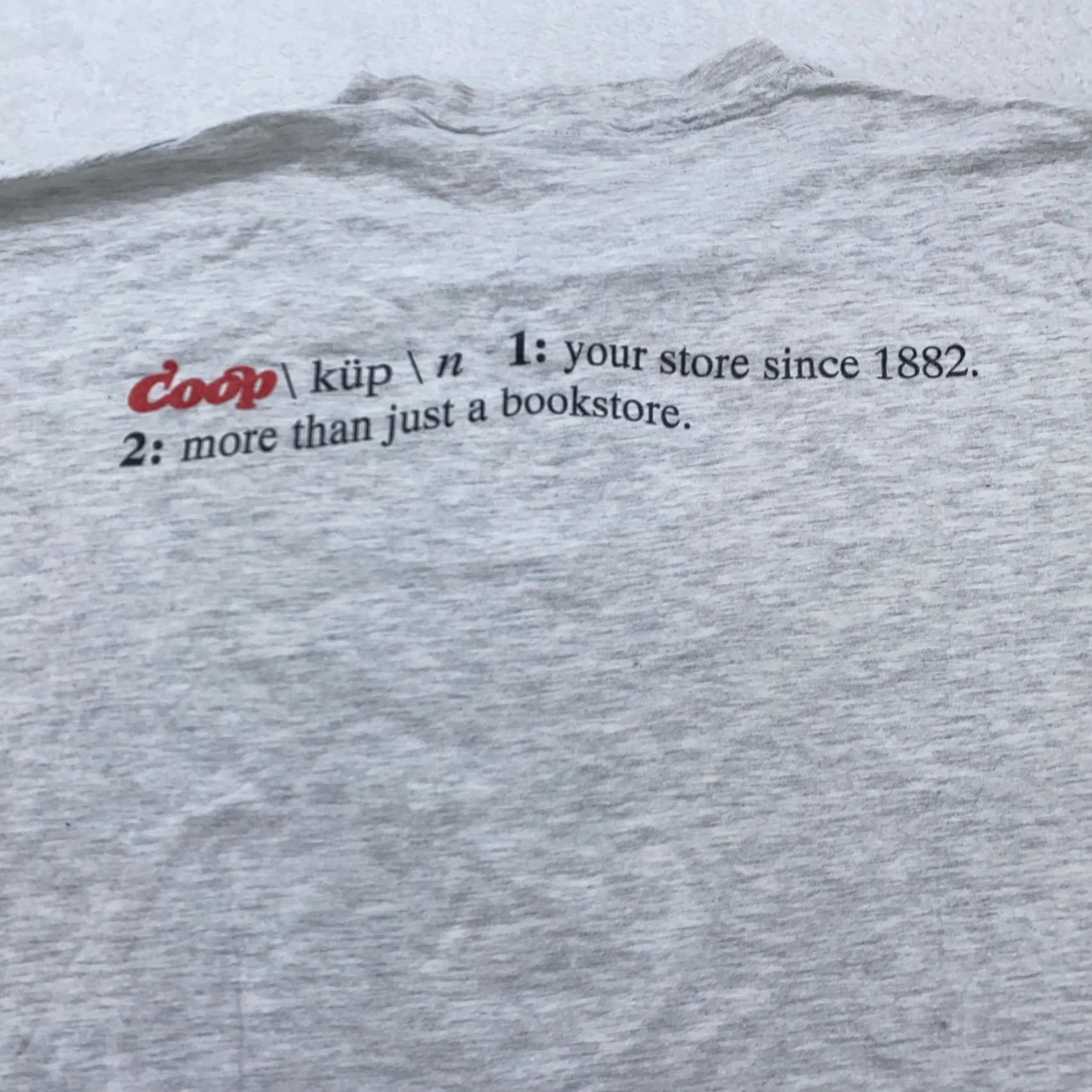 Hanes VINTAGE MIT The Coop Shirt Mens L Gray 90s College MIT Graphic Print Crew Neck Short Sleeve Hanes Shirt Mens L Size US L / EU 52-54 / 3 - 3 Thumbnail