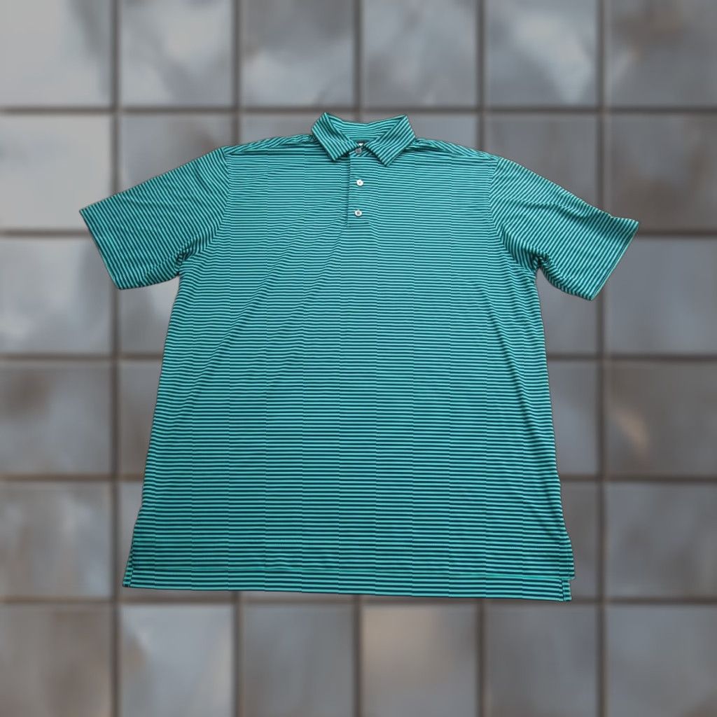 Footjoy FootJoy Polo Shirt Mens L Blue Teal Striped Performance Coto de Caza Golf Club Size US L / EU 52-54 / 3 - 1 Thumbnail
