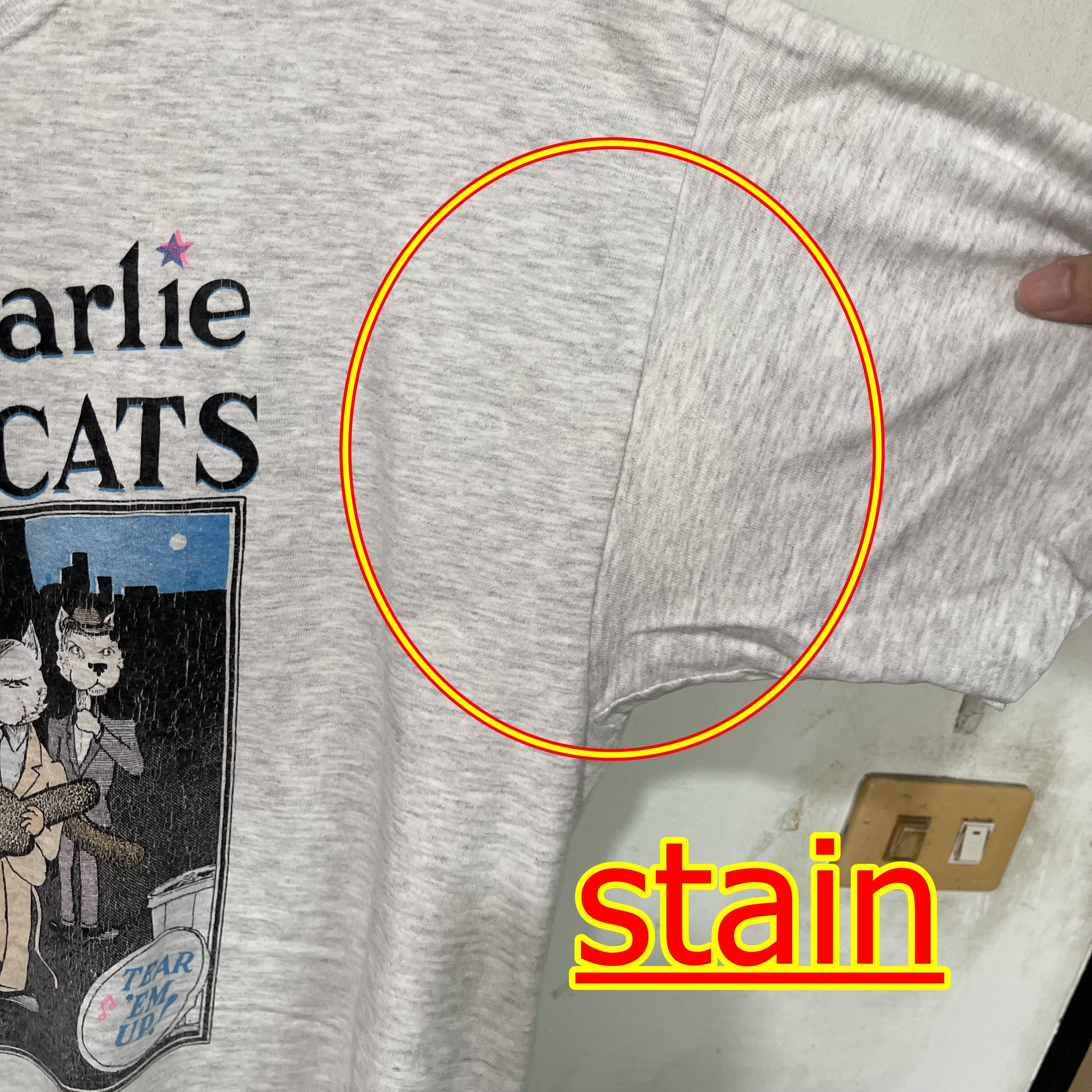 Band Tees Vintage 90s Little Charlie & the Nightcats Shirt Size US L / EU 52-54 / 3 - 6 Thumbnail