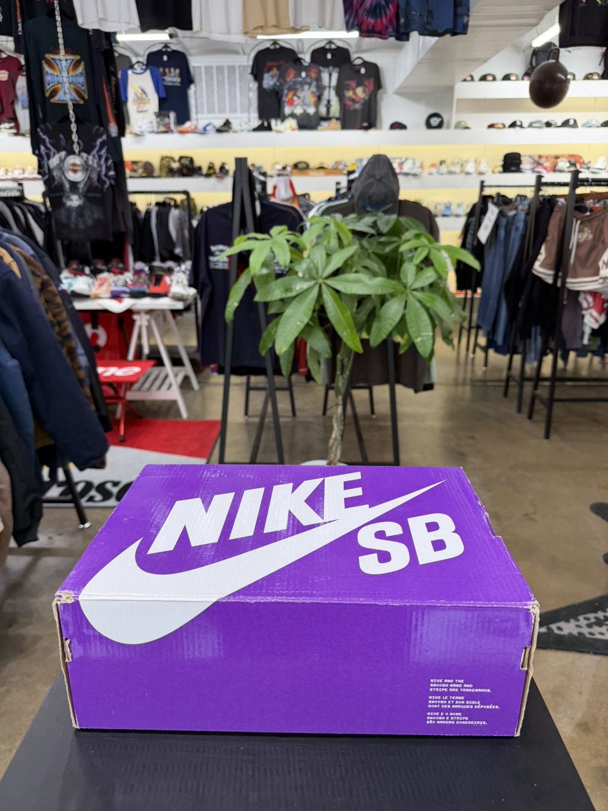 Nike Nike SB Dunk Low Reverse Papa Bear Size 9.5 (2021) Size US 9.5 / EU 42-43 - 17 Thumbnail