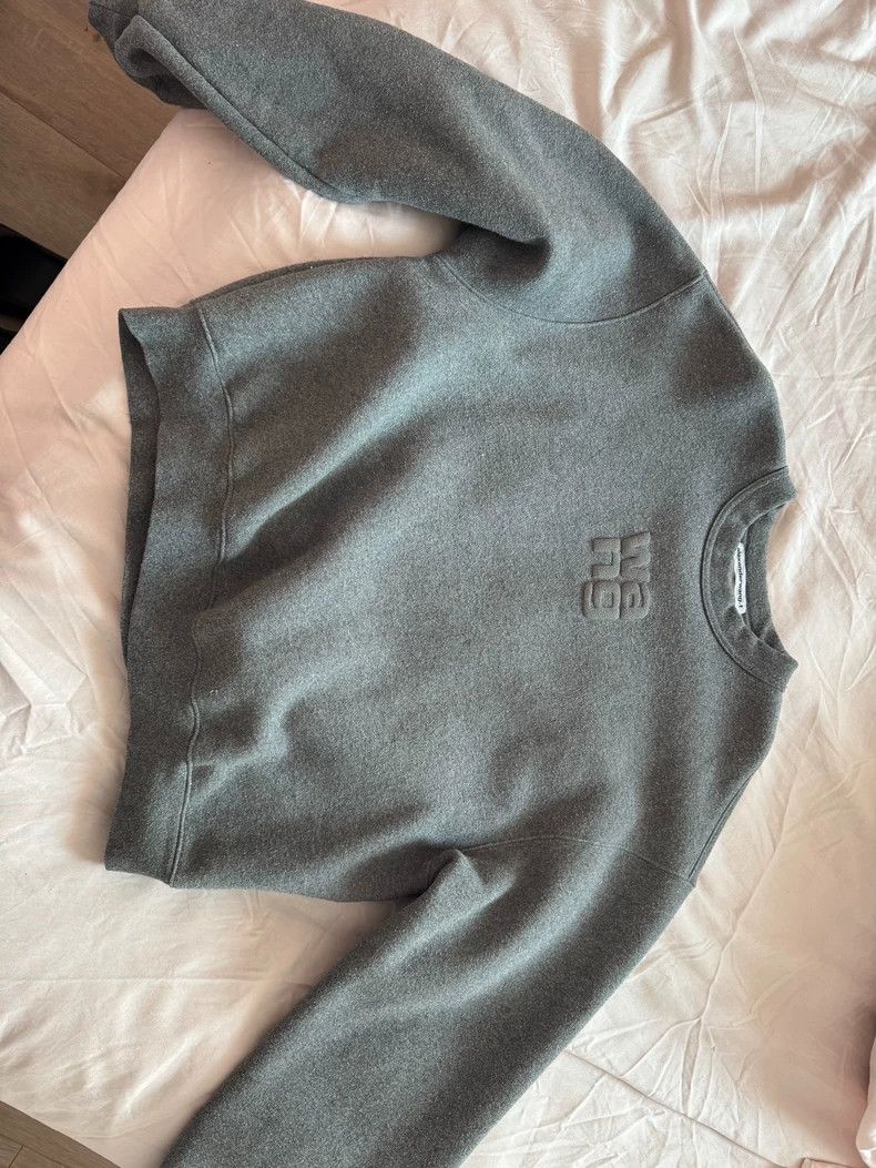Alexander Wang Alexander Wang Gray Sparkle Sweatshirt Size S / US 4 / IT 40 - 1 Thumbnail