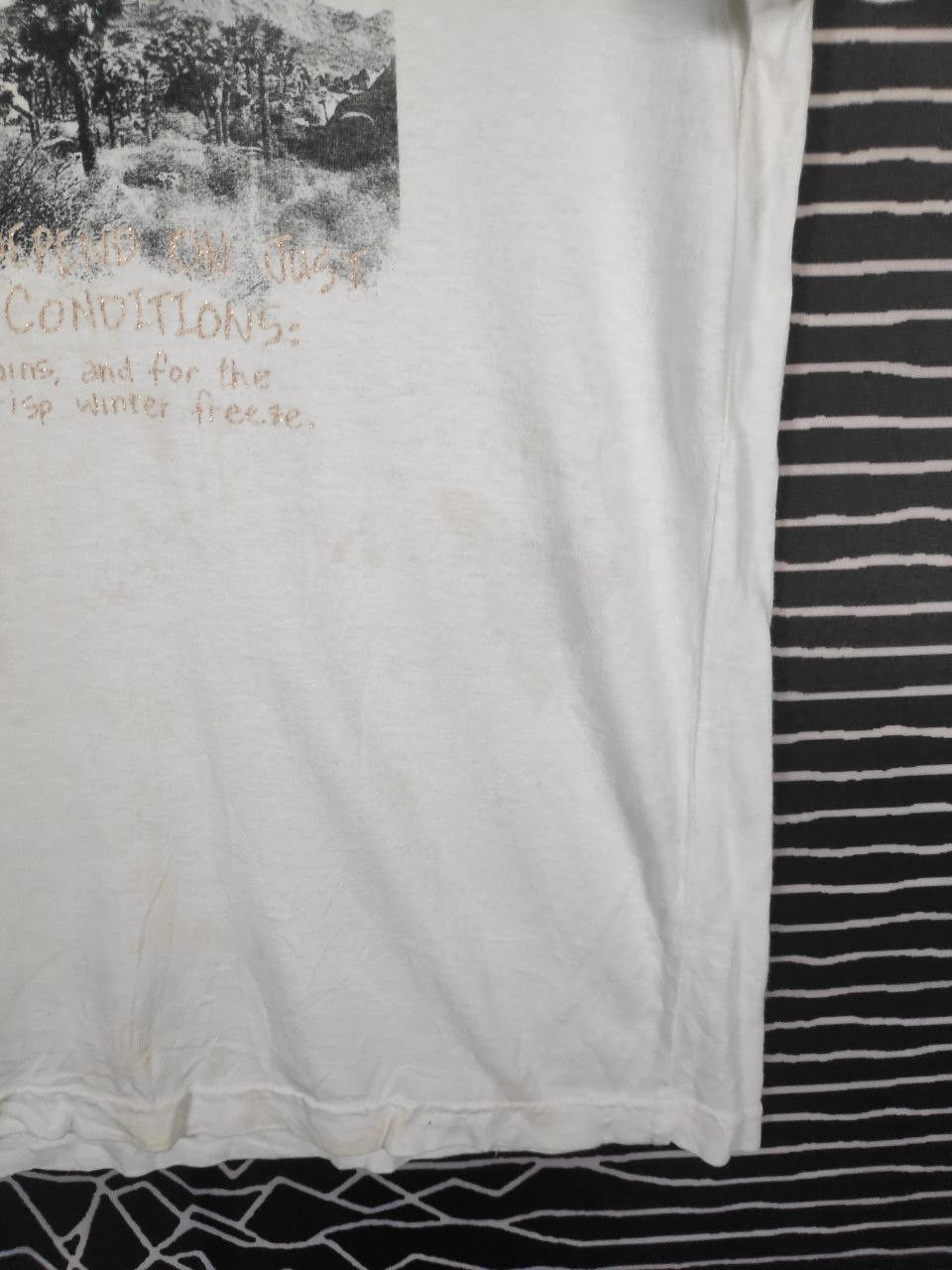 291295=Homme 291295 Homme Joshua Tree Fashion Designer Tee Size M Size US M / EU 48-50 / 2 - 5 Thumbnail