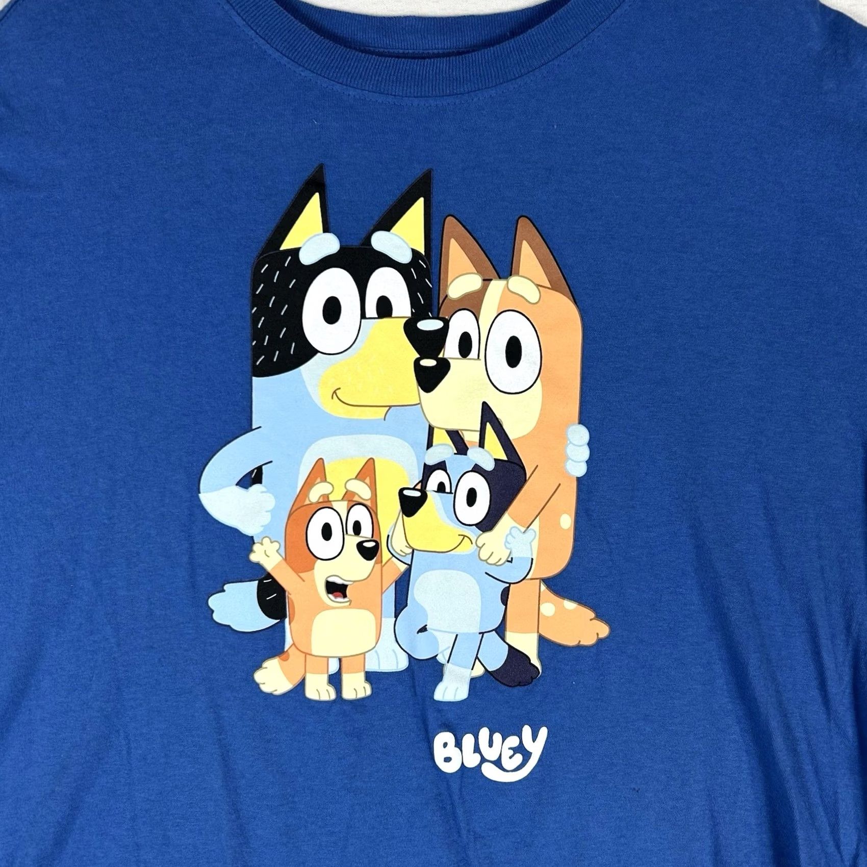 Vintage Bluey Graphic Print T-Shirt Crew Neck Short Sleeve Womens 2XL Blue Casual Tee Top Size XXL / US 16-18 / IT 52-54 - 3 Thumbnail