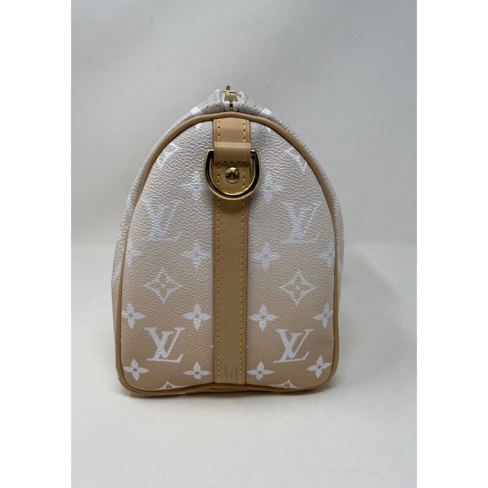 Louis Vuitton Louis Vuitton Speedy 25 Bandouliere By The Pool Brume Mist Size ONE SIZE - 5 Thumbnail