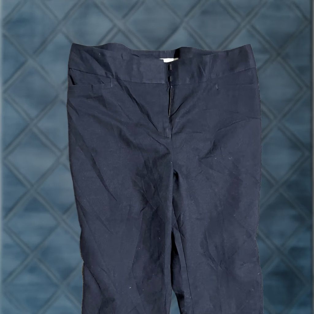 Talbots Talbots Pants Womens 12P Navy Blue Straight Stretch Casual Business Chino Pants Petites Regular Inseam 26in Womens Size 32" / US 10 / IT 46 - 1 Thumbnail