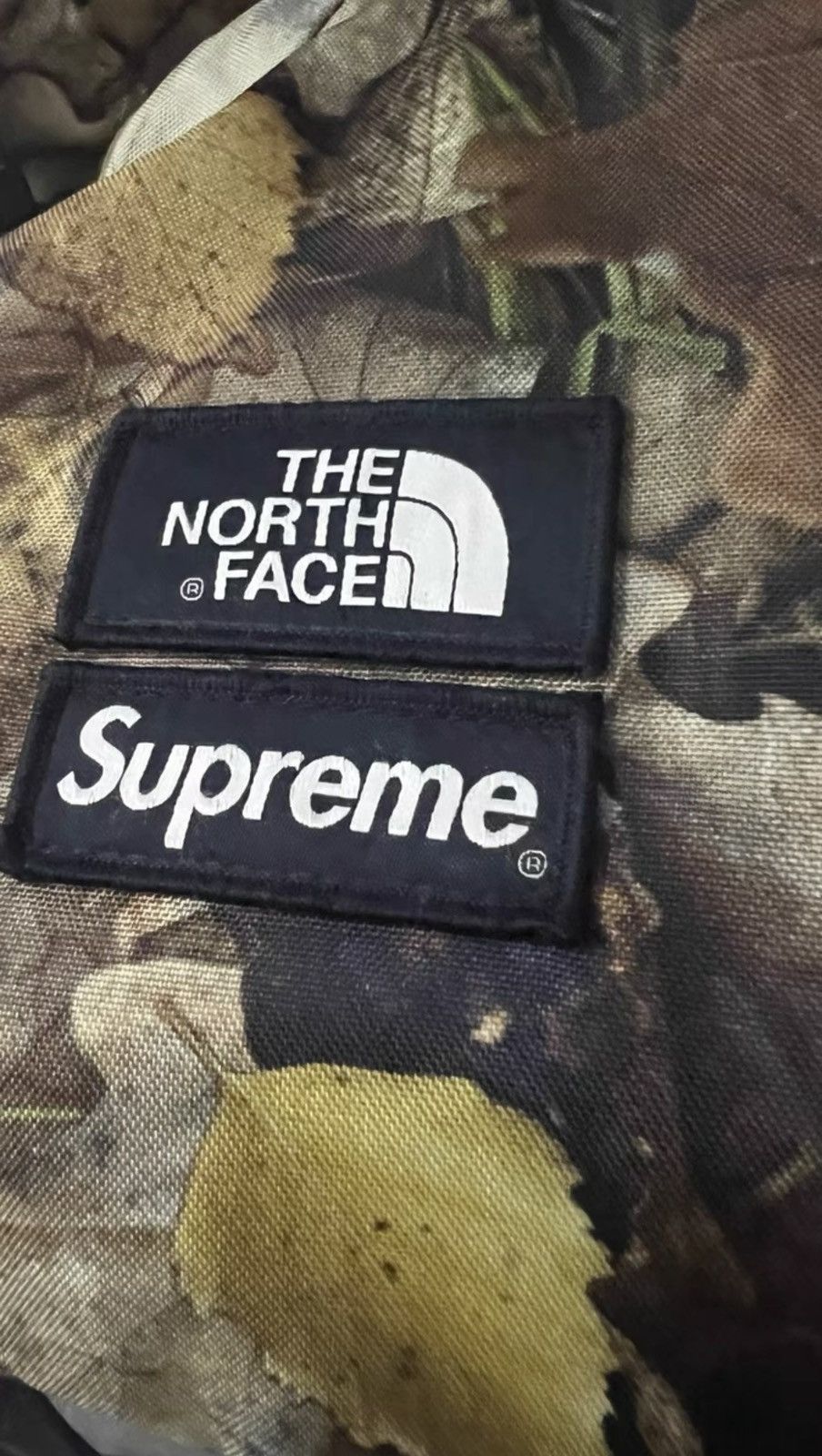 The North Face Supreme tnf north face leaves backpack Size ONE SIZE - 3 Thumbnail