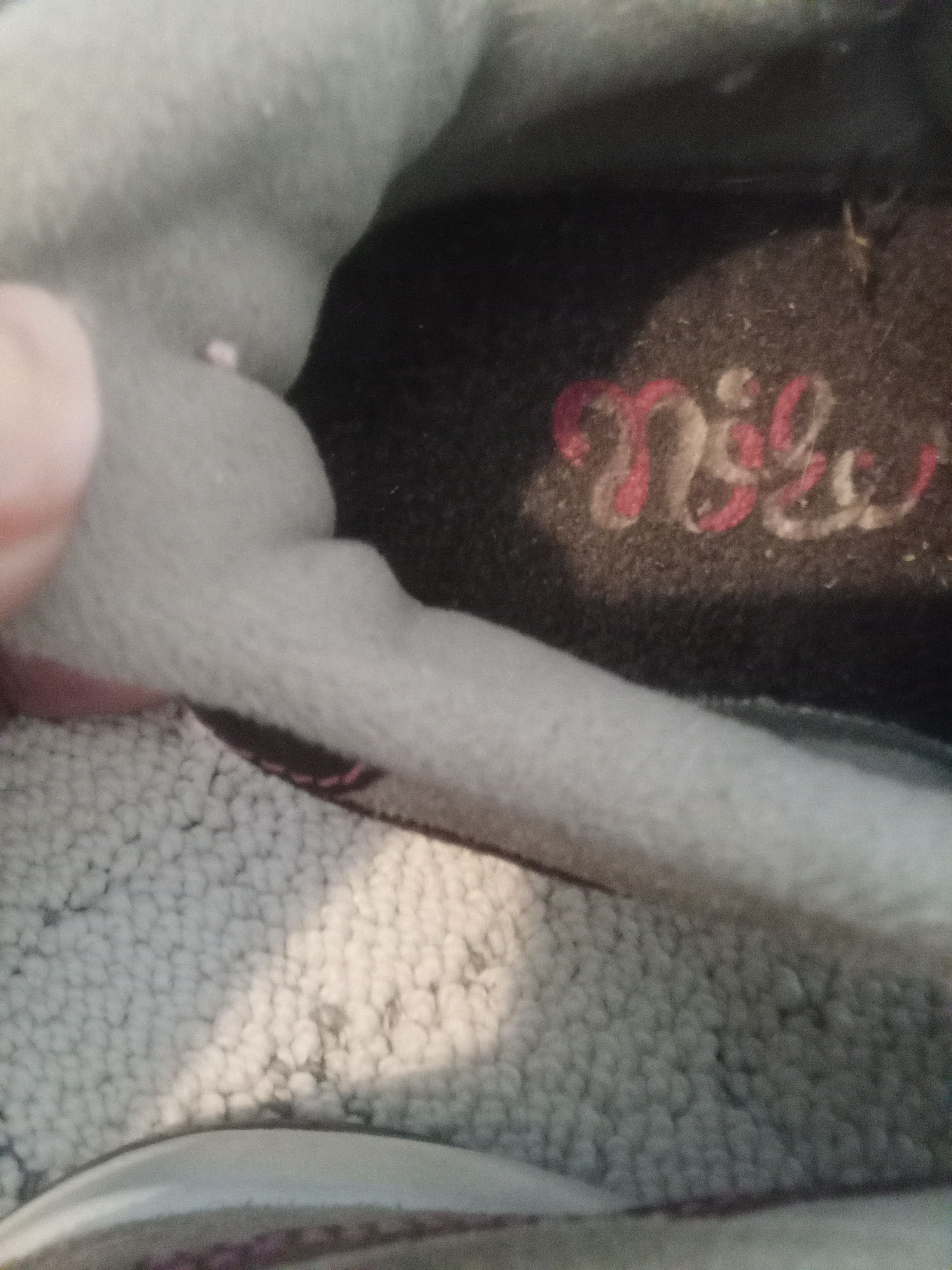 Nike NIKE ACE '86 SUEDE SNEAKERS CIRCA 2006 Size US 7 / IT 37 - 5 Thumbnail