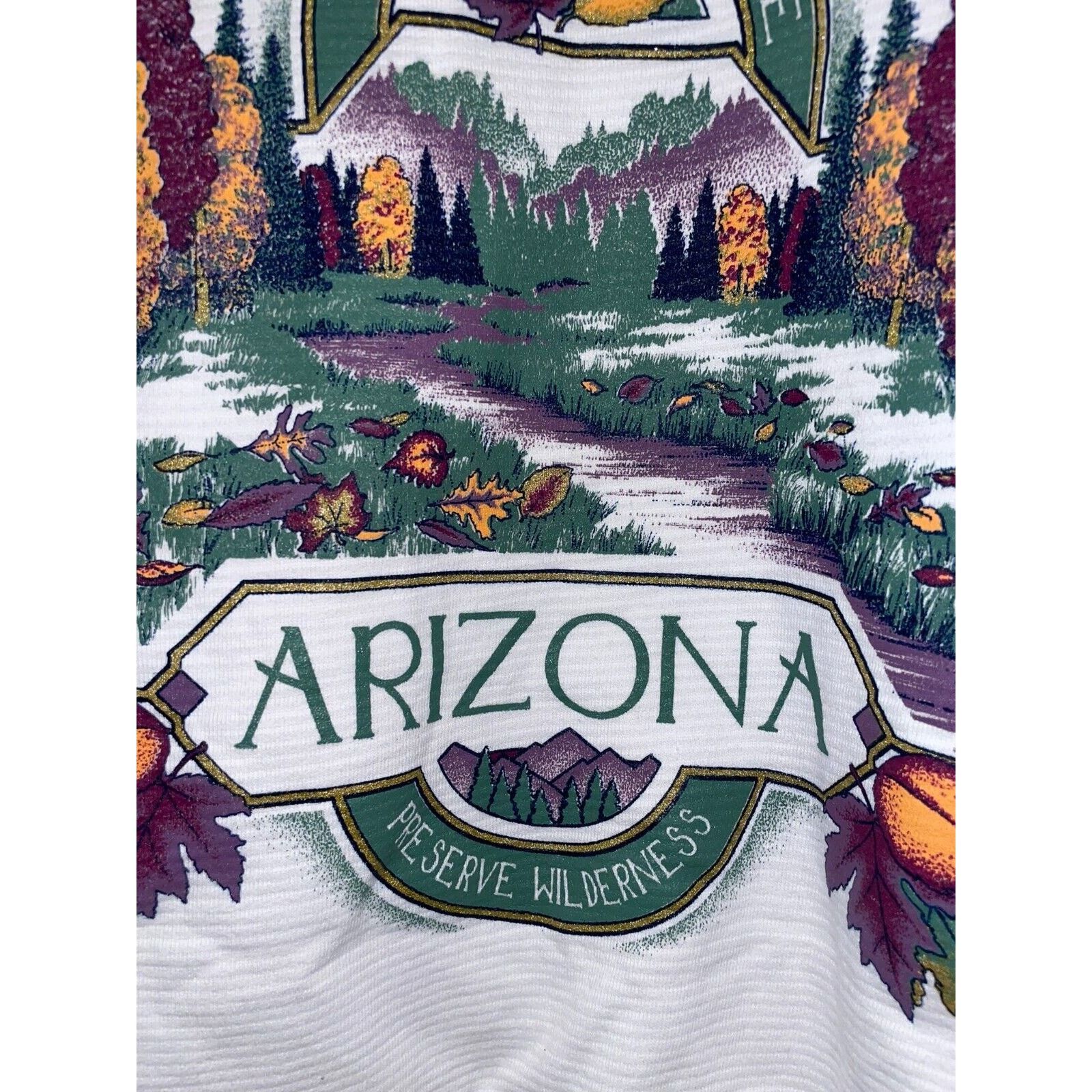 Jerzees Vintage Arizona Sweatshirt Mormon Lake Wilderness VTG 90s L Size US L / EU 52-54 / 3 - 4 Thumbnail
