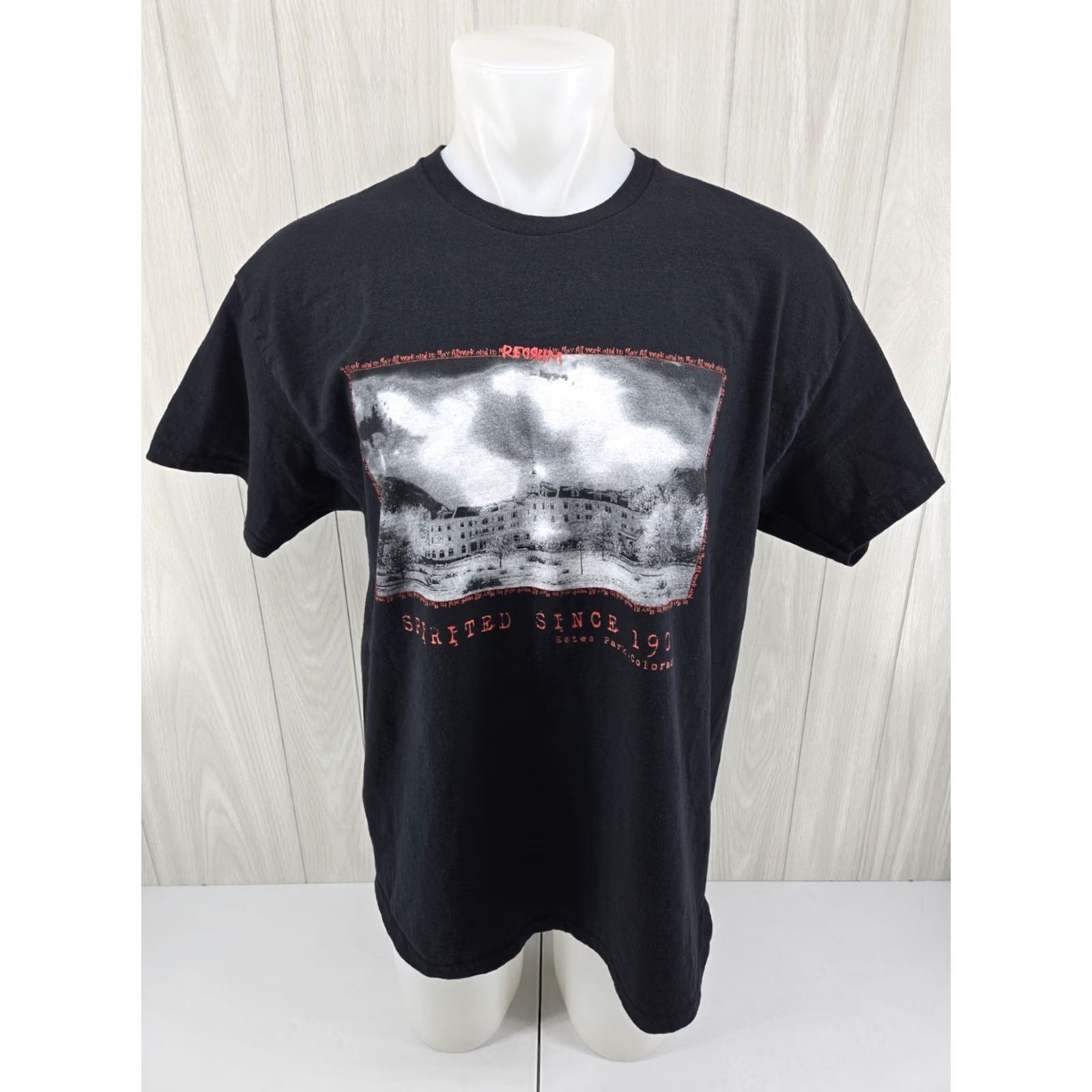 Gildan Gildan Estes Park T Shirt Mens XL Graphic Tee Colorado Stanley Hotel Redrum Photo 1909 Black Cotton Short Sleeve Crew Neck 30" Down Back 1909s Size US XL / EU 56 / 4 - 2 Thumbnail
