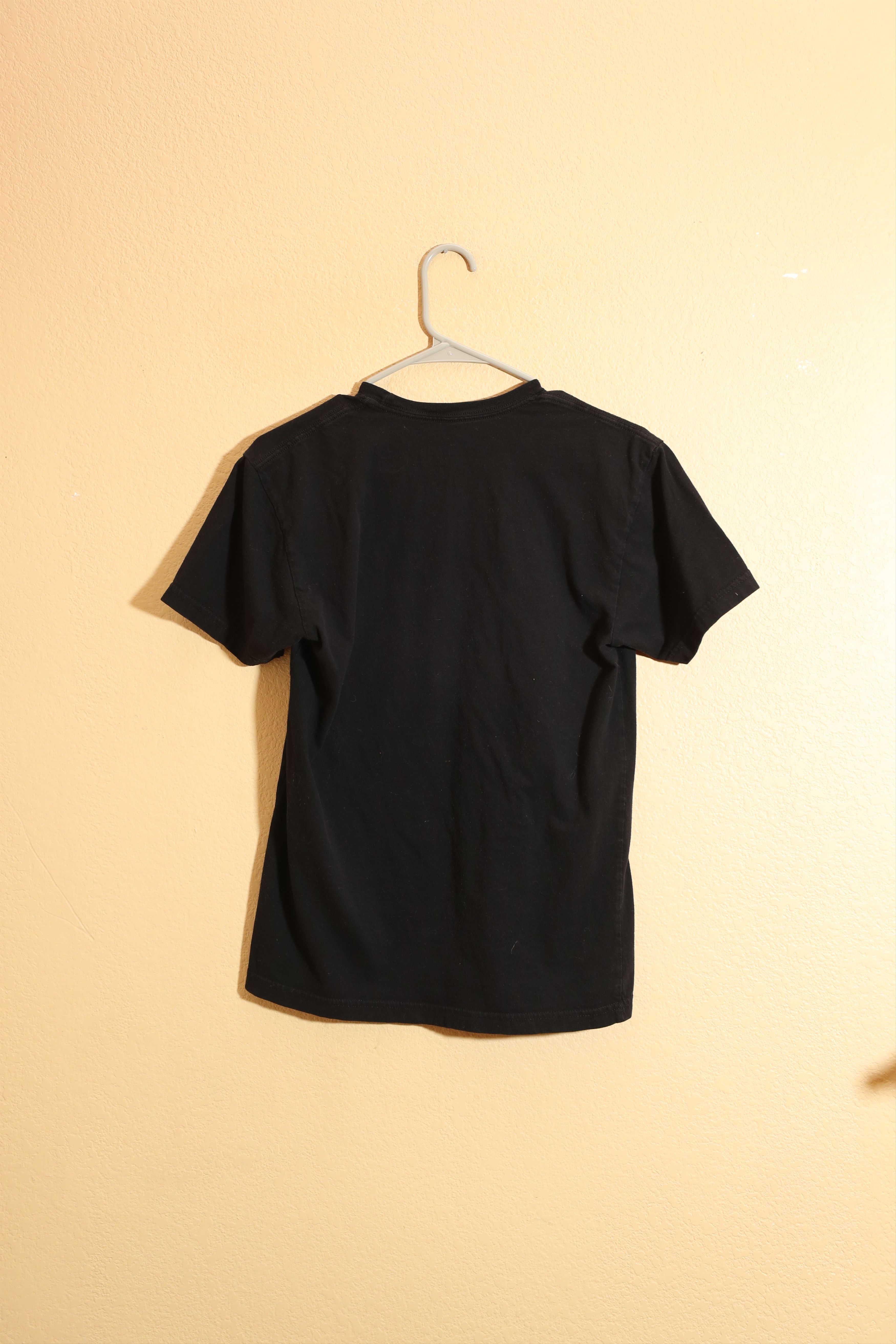 Band Tees × Next Level Apparel × Vintage M Ward A Wasteland Companion Tee (S) Size US S / EU 44-46 / 1 - 2 Thumbnail