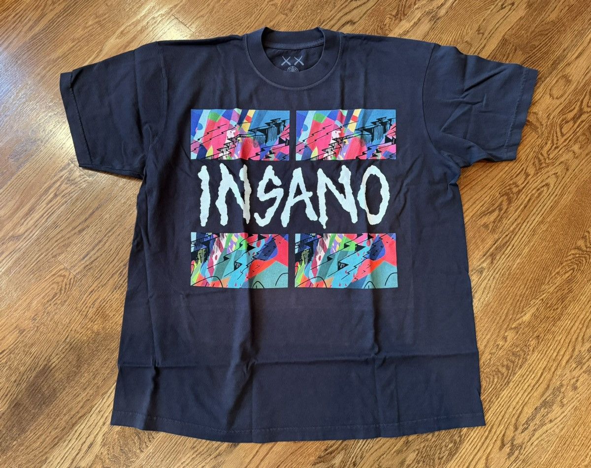 image of Extra Large Kid Cudi Kaws Inanso Black Tee Shirt Xl