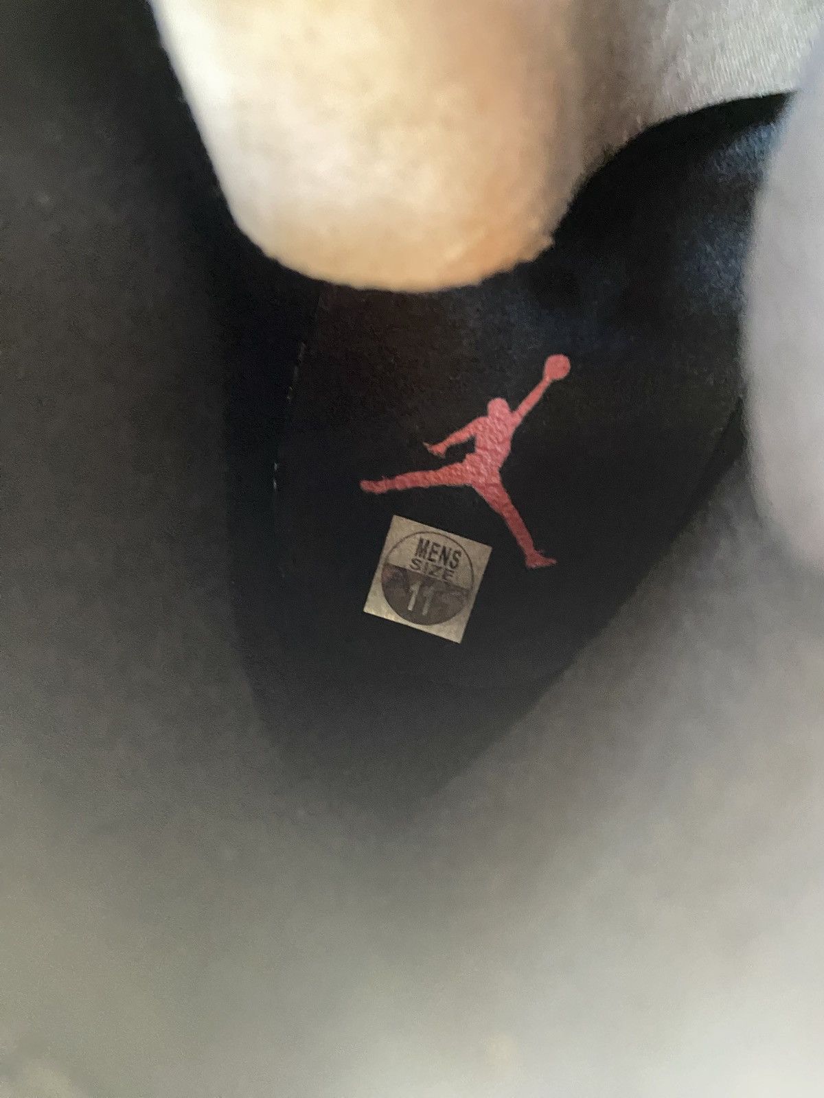 Jordan 12 Reverse Flu Game