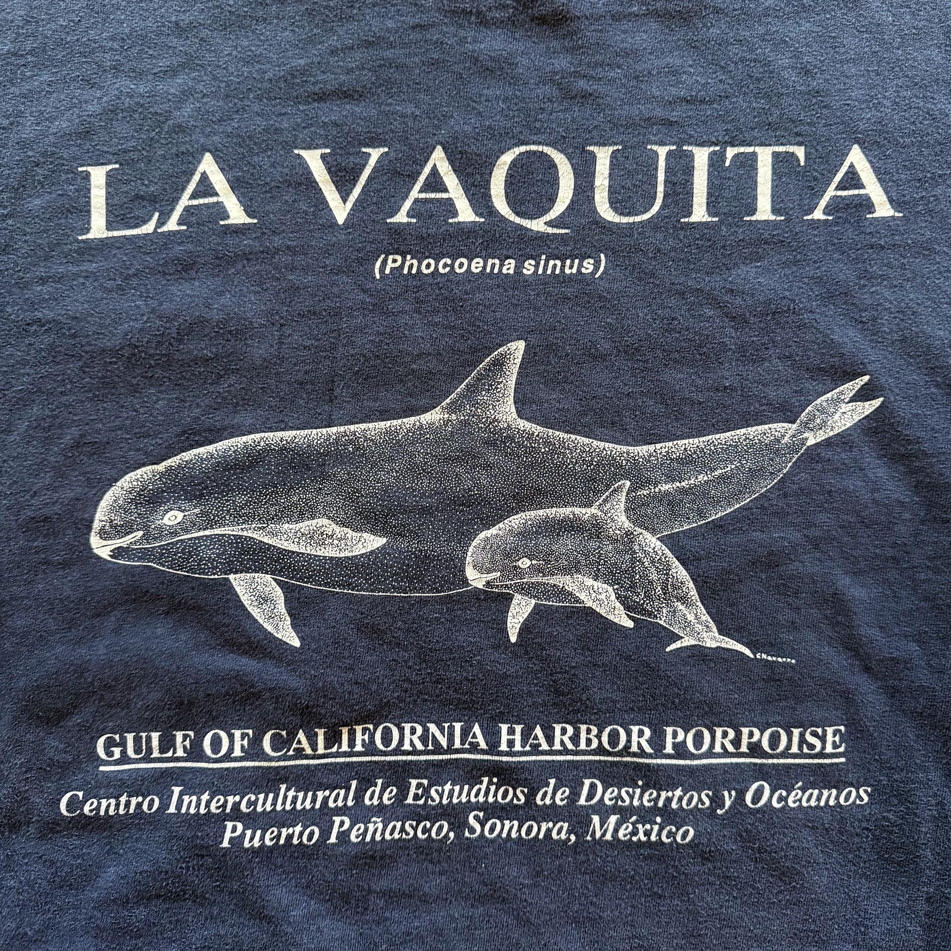 Vintage 1990s Vintage Whale Tee Size US XL / EU 56 / 4 - 2 Thumbnail
