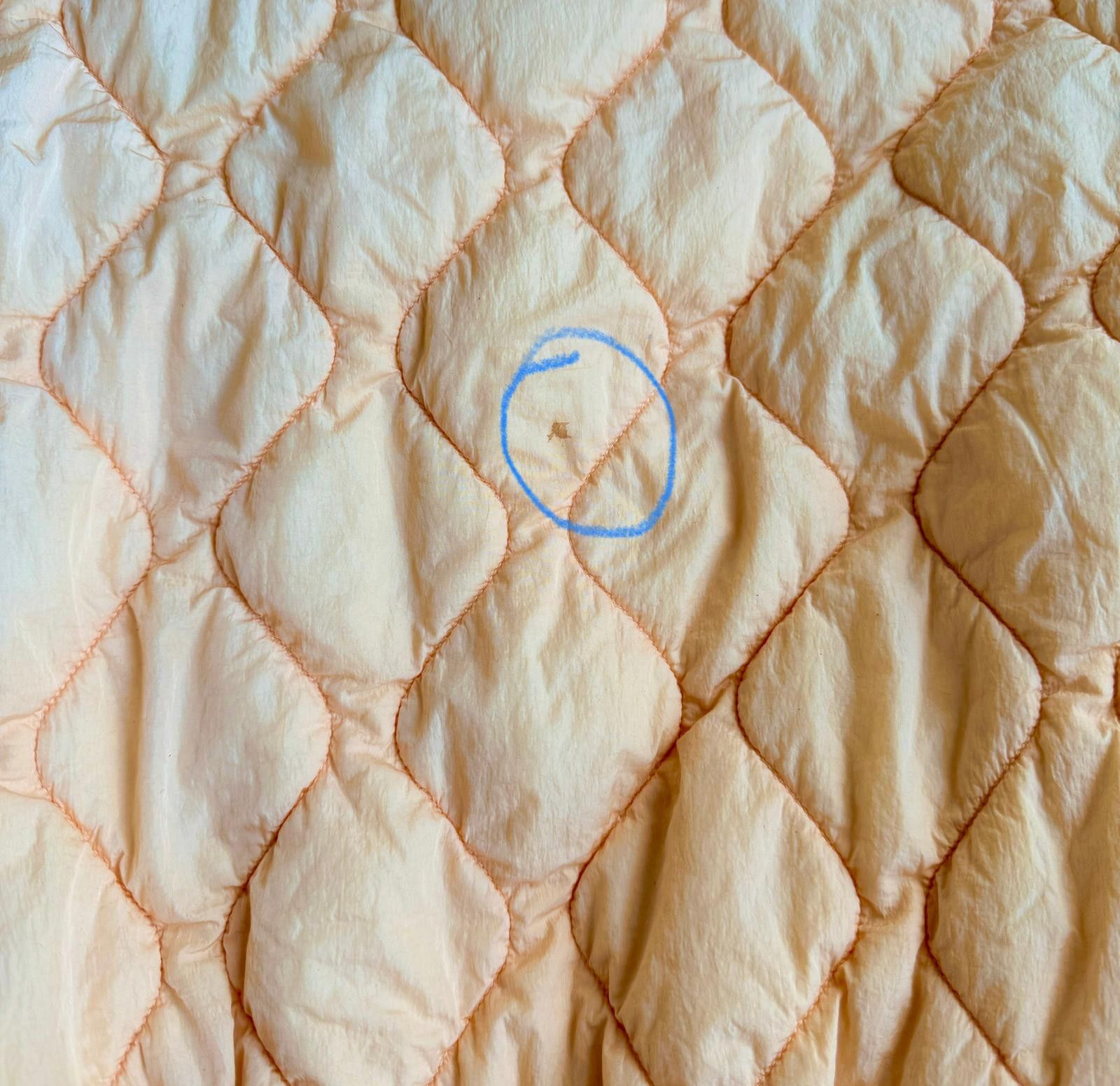 Burberry Burberry Quilted Peach Womens Bomber Jacket Size M / US 6-8 / IT 42-44 - 5 Thumbnail