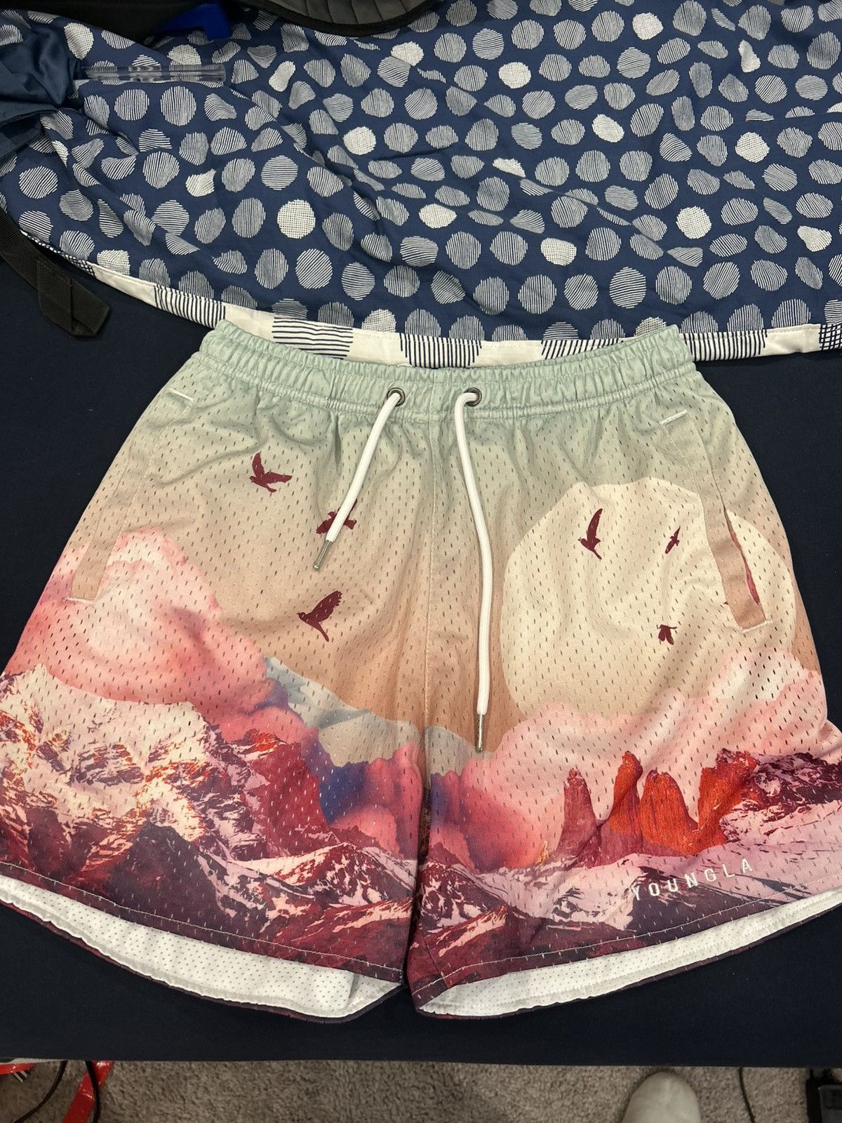 YoungLA YoungLA Athletic Shorts Size US 33 - 1 Thumbnail