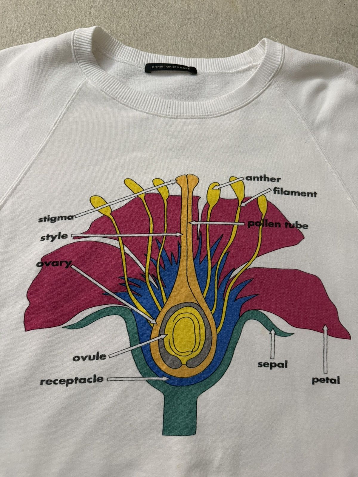 Christopher Kane SpringSummer 2014 Christopher Kane Botanical Crewneck Small Size US S / EU 44-46 / 1 - 7 Thumbnail