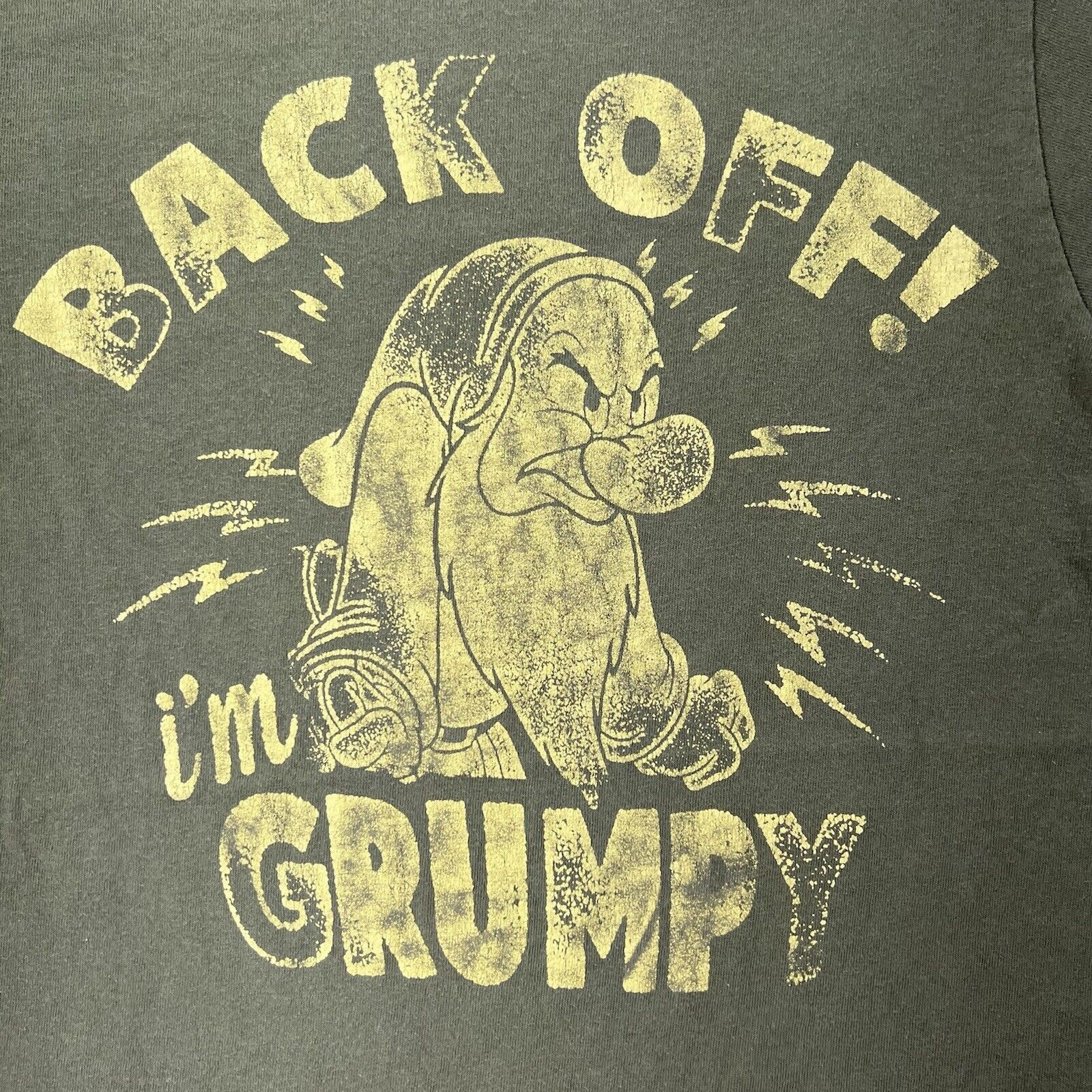 Disney Disney Back Off I'm Grumpy Green Short Sleeve Graphic Tee Size US S / EU 44-46 / 1 - 2 Thumbnail