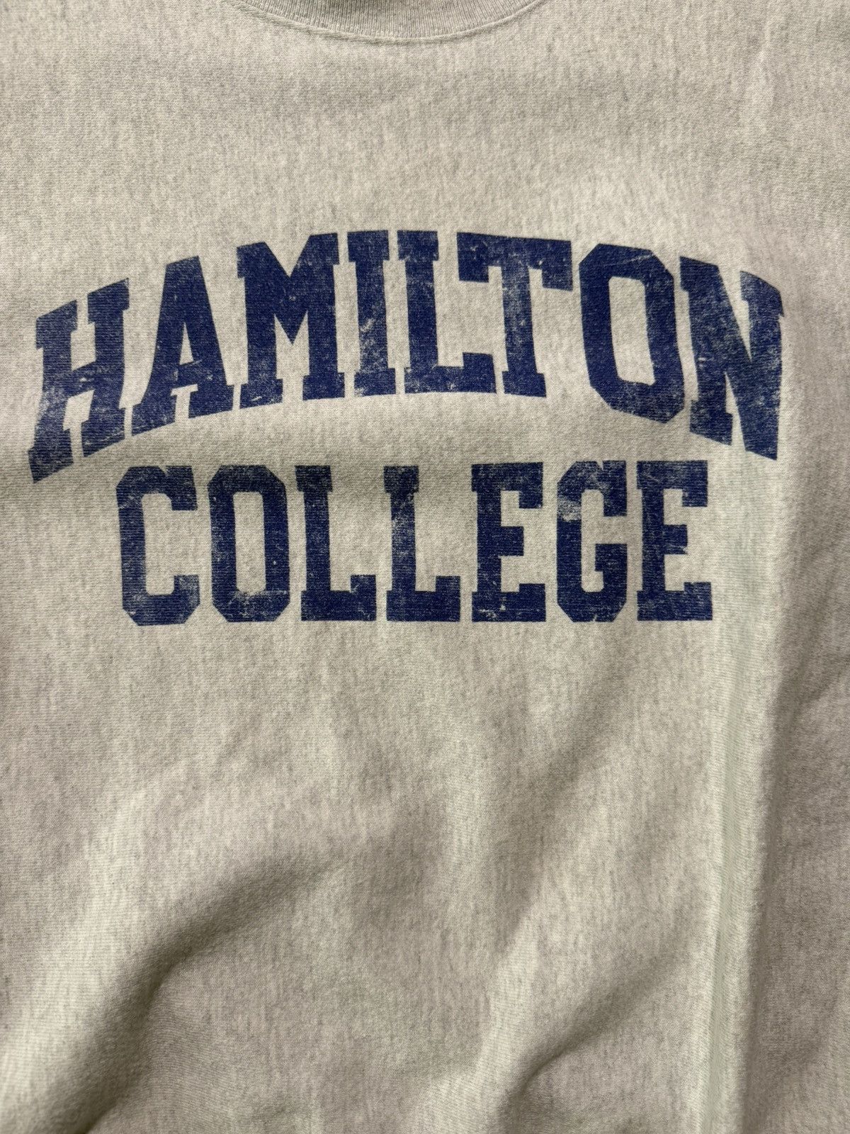 Champion Champion Hamilton College Size US M / EU 48-50 / 2 - 2 Thumbnail