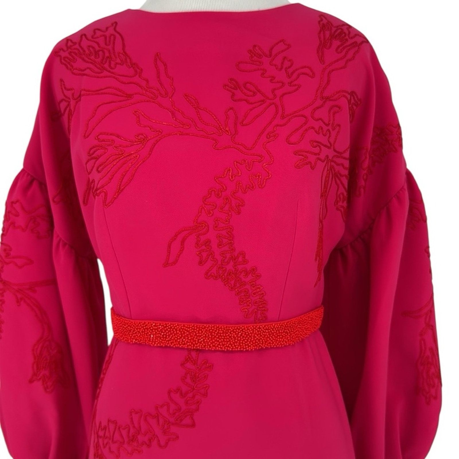 Sachin & Babi Sachin & Babi Aria Embroidered Dress Fuchsia Gown Size 2 Size XS / US 0-2 / IT 36-38 - 2 Thumbnail