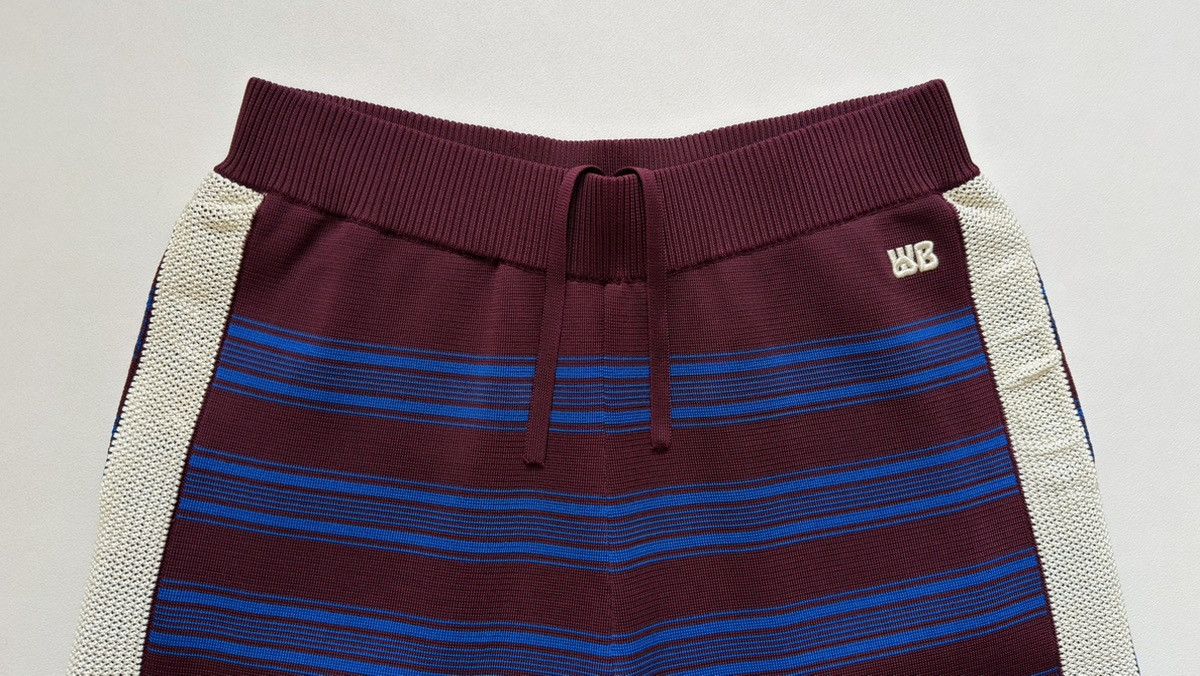 Wales Bonner Sample ‘Music’ Striped Tech Knit Shorts Size US 32 / EU 48 - 3 Thumbnail