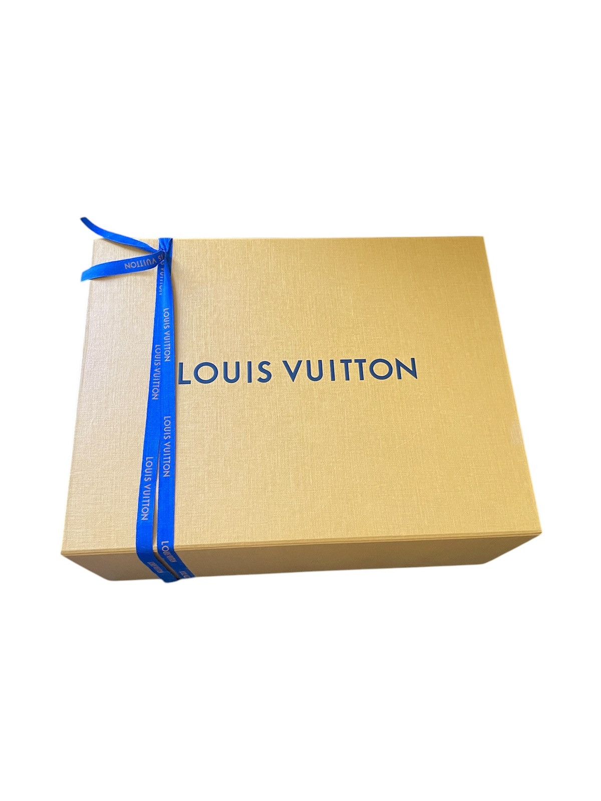 Louis Vuitton LV Venice Sandal Size US 10 / EU 43 - 19 Thumbnail