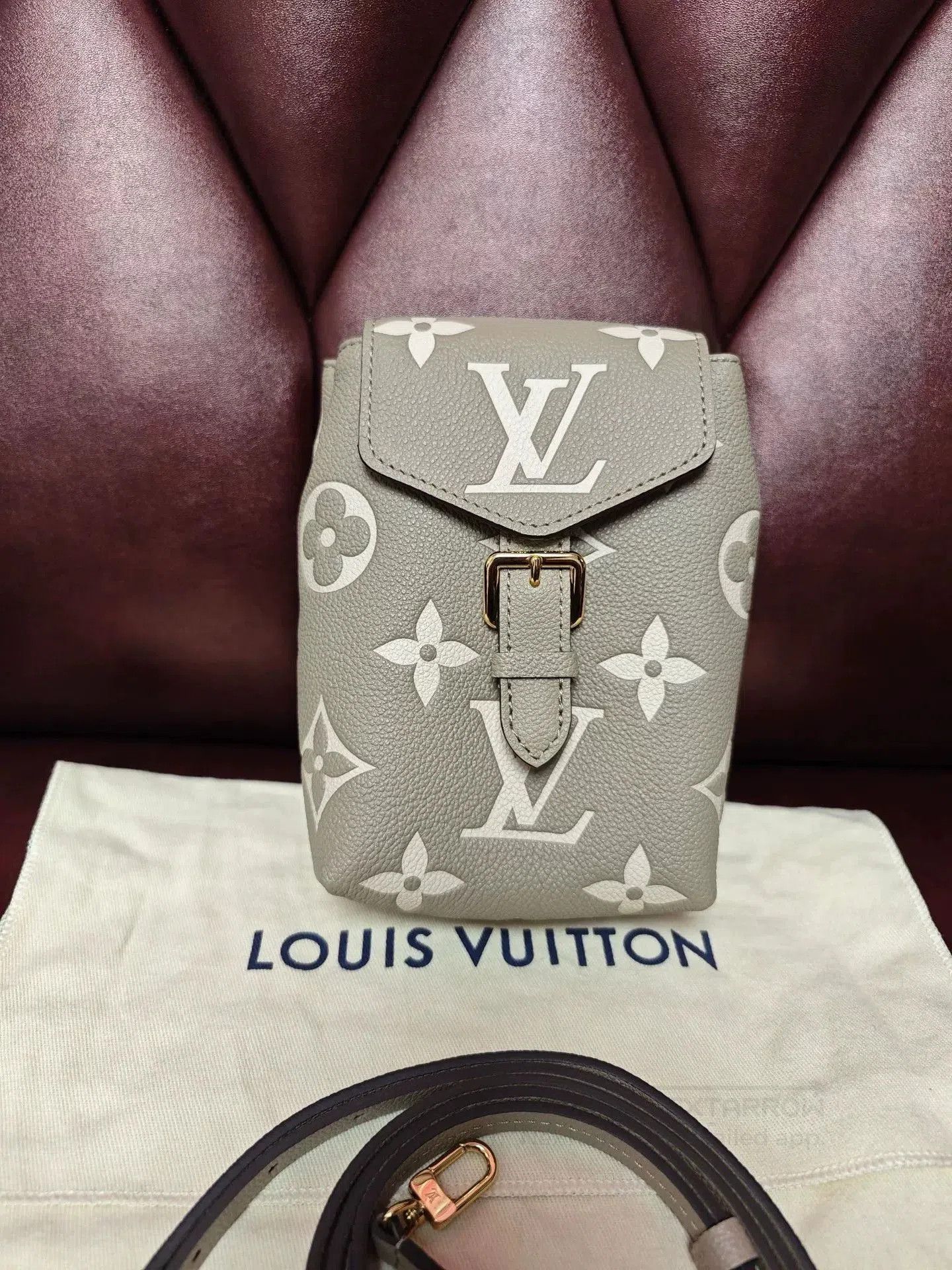 Louis Vuitton LV Tiny Women's Backpack Crossbody. Size ONE SIZE - 2 Thumbnail