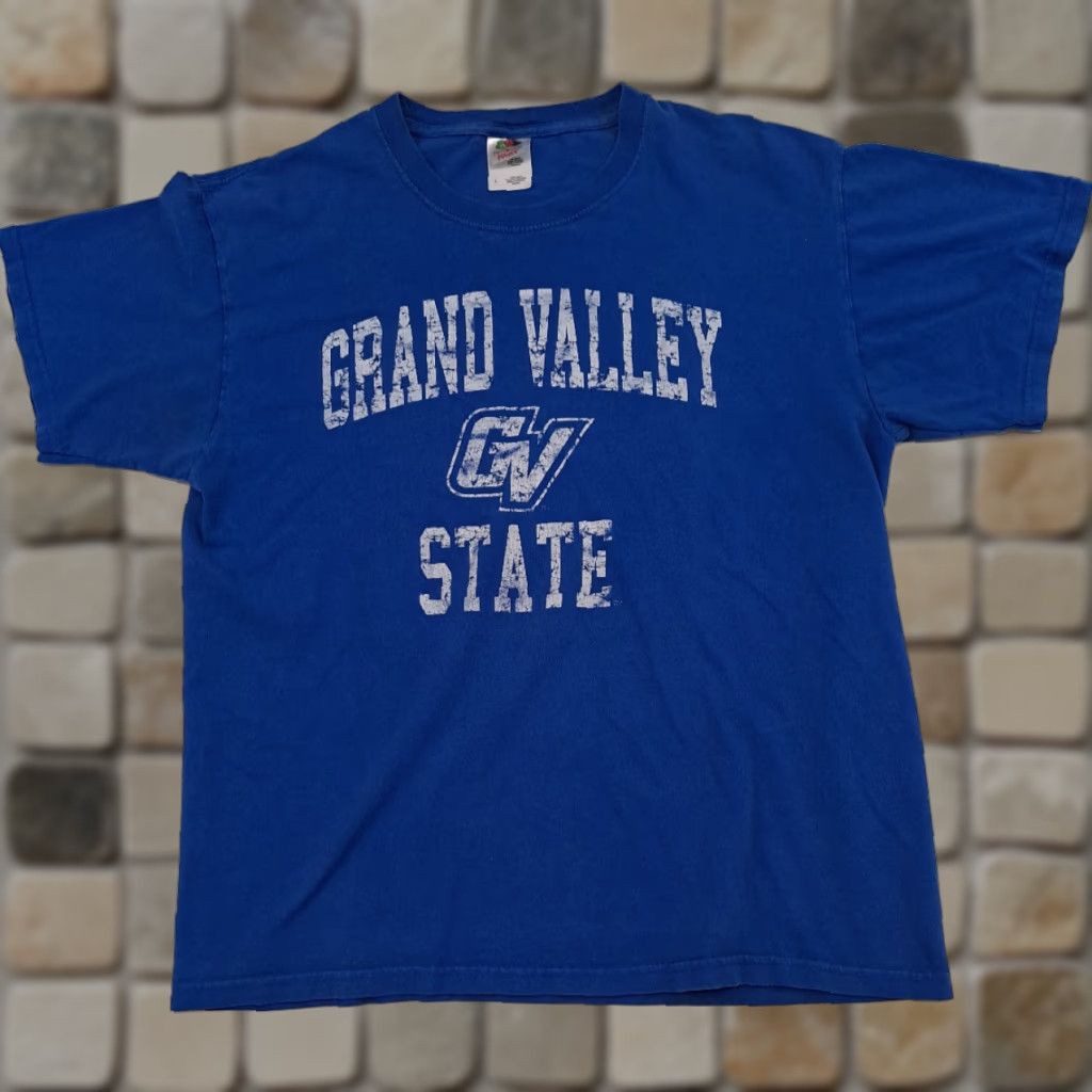 Fruit Of The Loom VINTAGE Grand Valley State Blue T-Shirt L Men Short Sleeve Fruit of the Loom USA 26in pit to pit Size US L / EU 52-54 / 3 - 1 Thumbnail