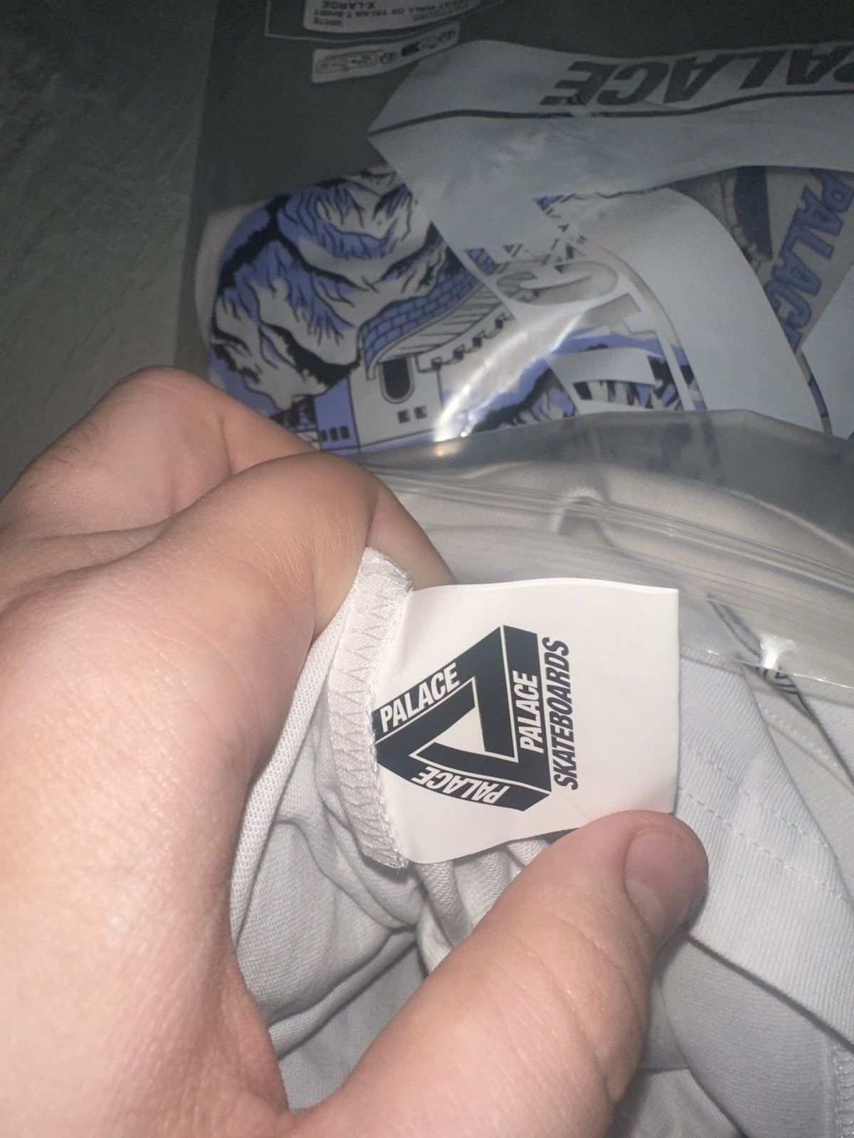 Palace Palace Great Wall Of Tri-Na White T Shirt Size US XL / EU 56 / 4 - 5 Thumbnail