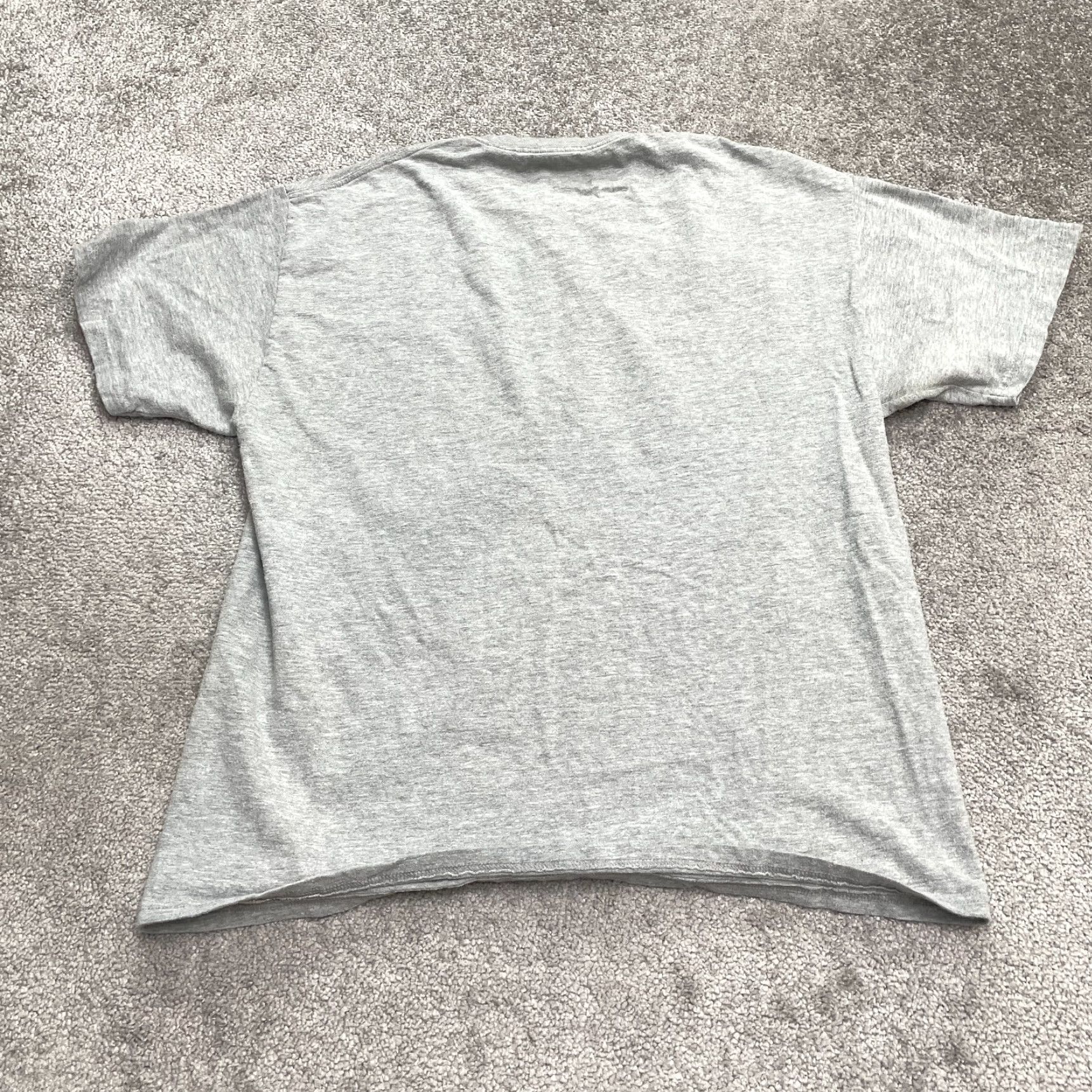 Hanes Disneyland Disney x Hanes Graphic T-Shirt Unisex Adult Large Gray Crew Neck Tee Size L / US 10 / IT 46 - 2 Thumbnail