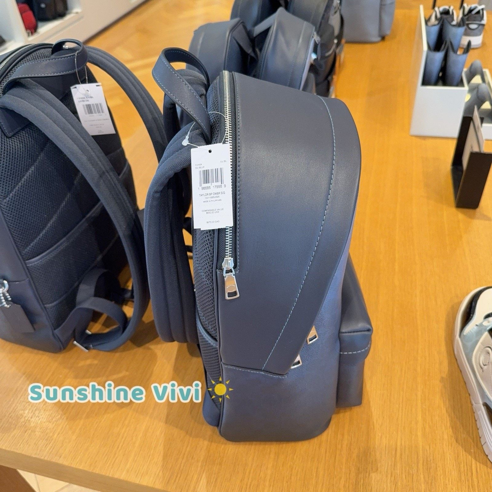Coach NWT Coach Taylor Backpack Ombre Signature CDX84 Silver/Blue Size ONE SIZE - 6 Thumbnail