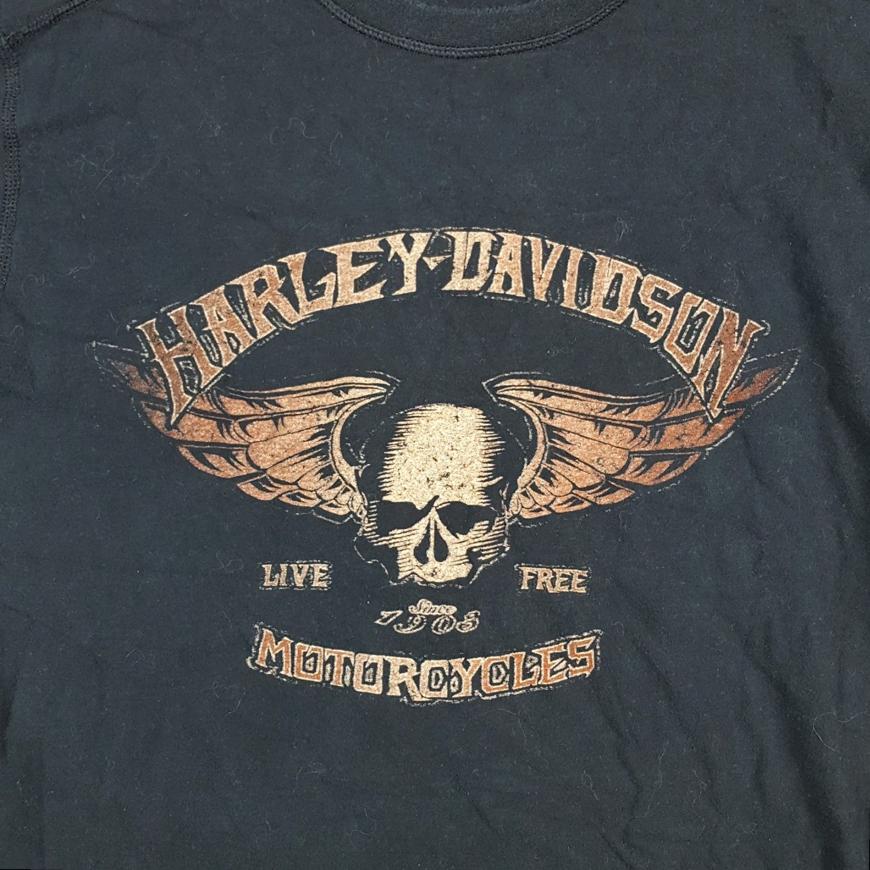 Harley Davidson Harley-Davidson Skull Logo Biker Motorcycle Mens Size Medium Retro Black T Shirt Size US M / EU 48-50 / 2 - 2 Thumbnail